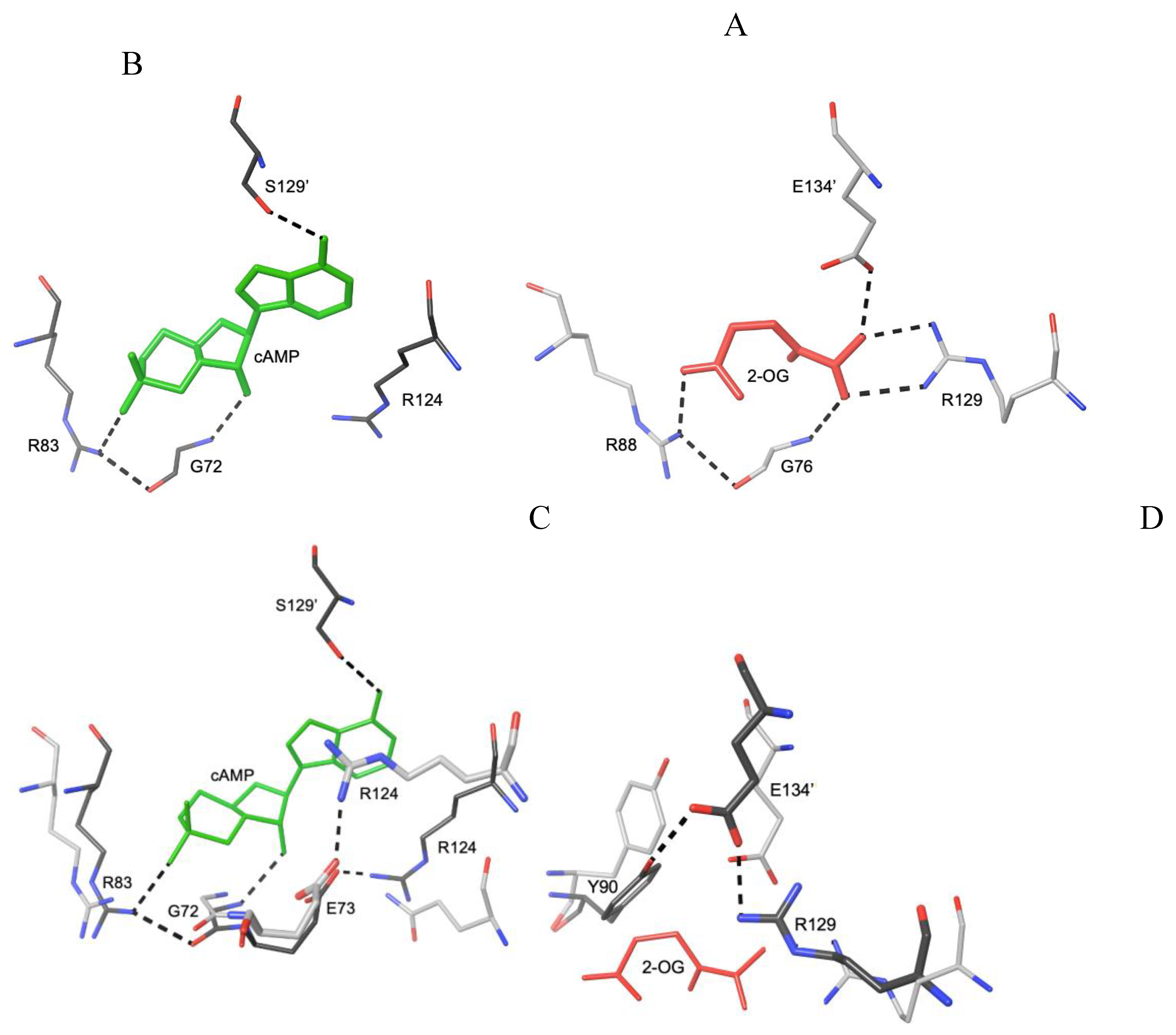 Preprints 190401 g003