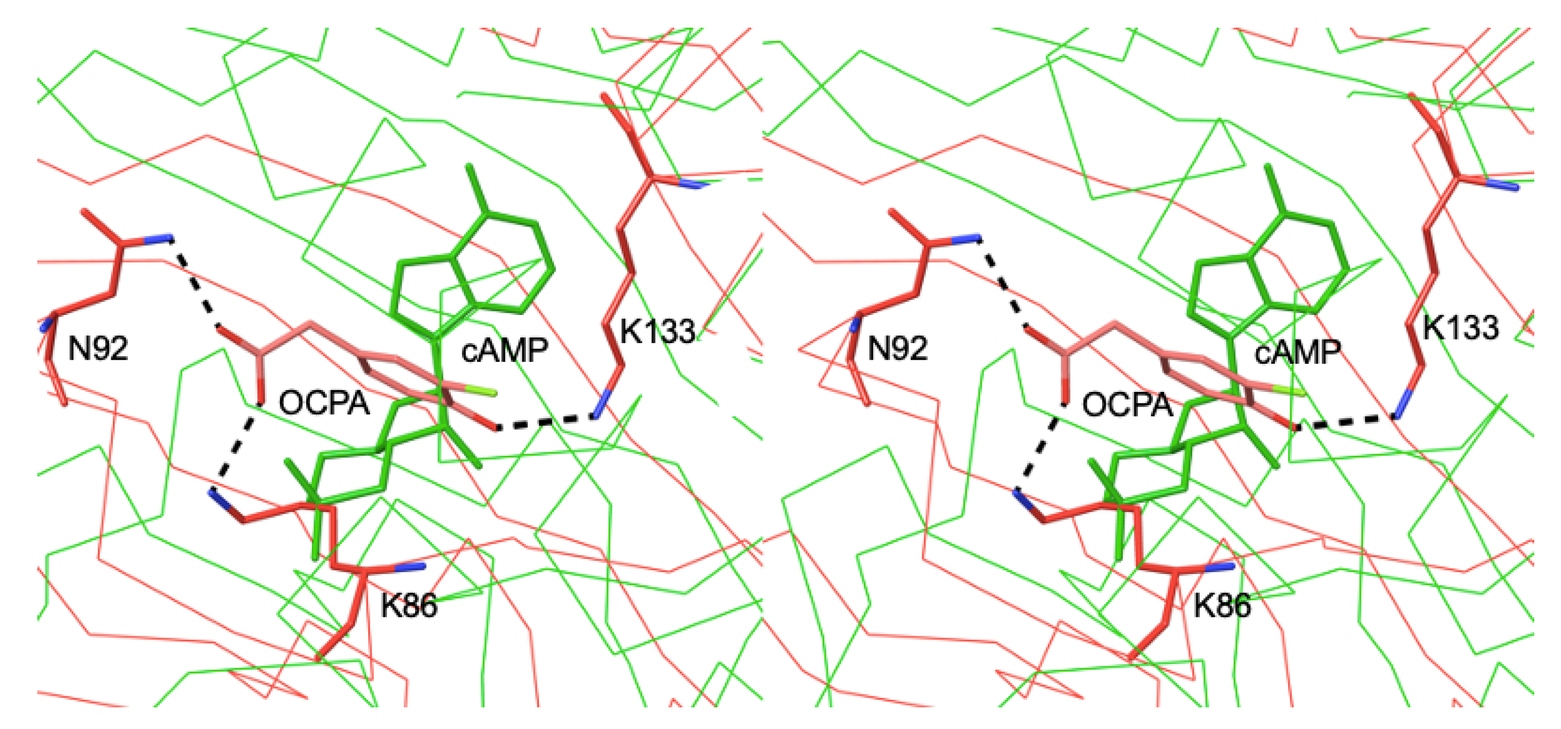 Preprints 190401 g004