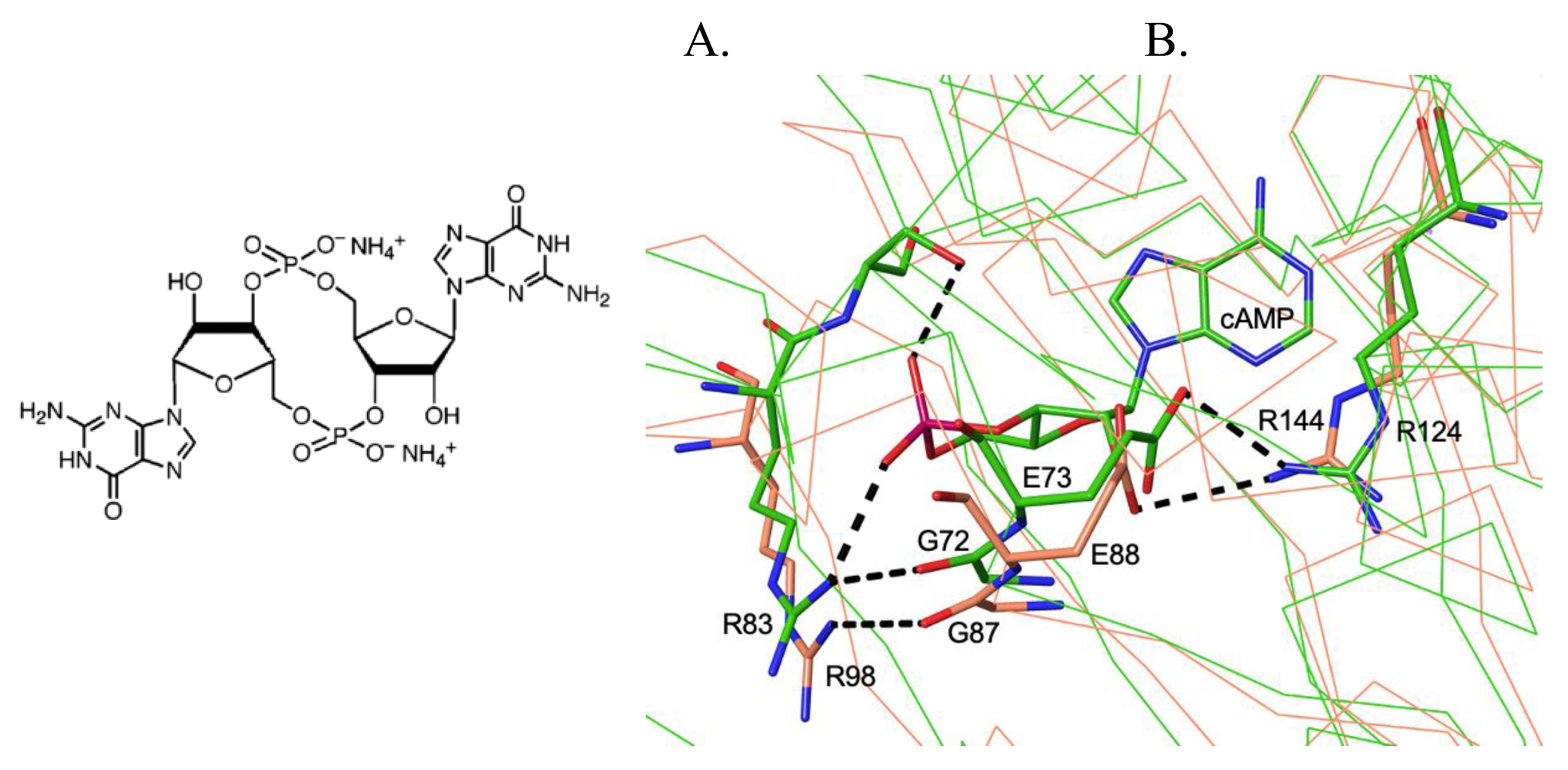 Preprints 190401 g005