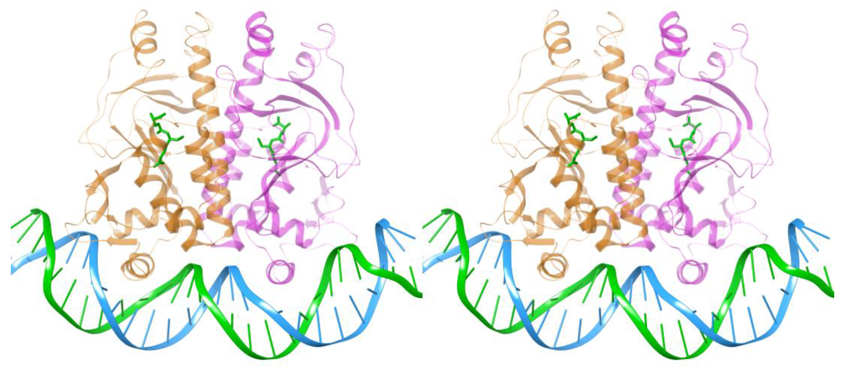 Preprints 190401 g006