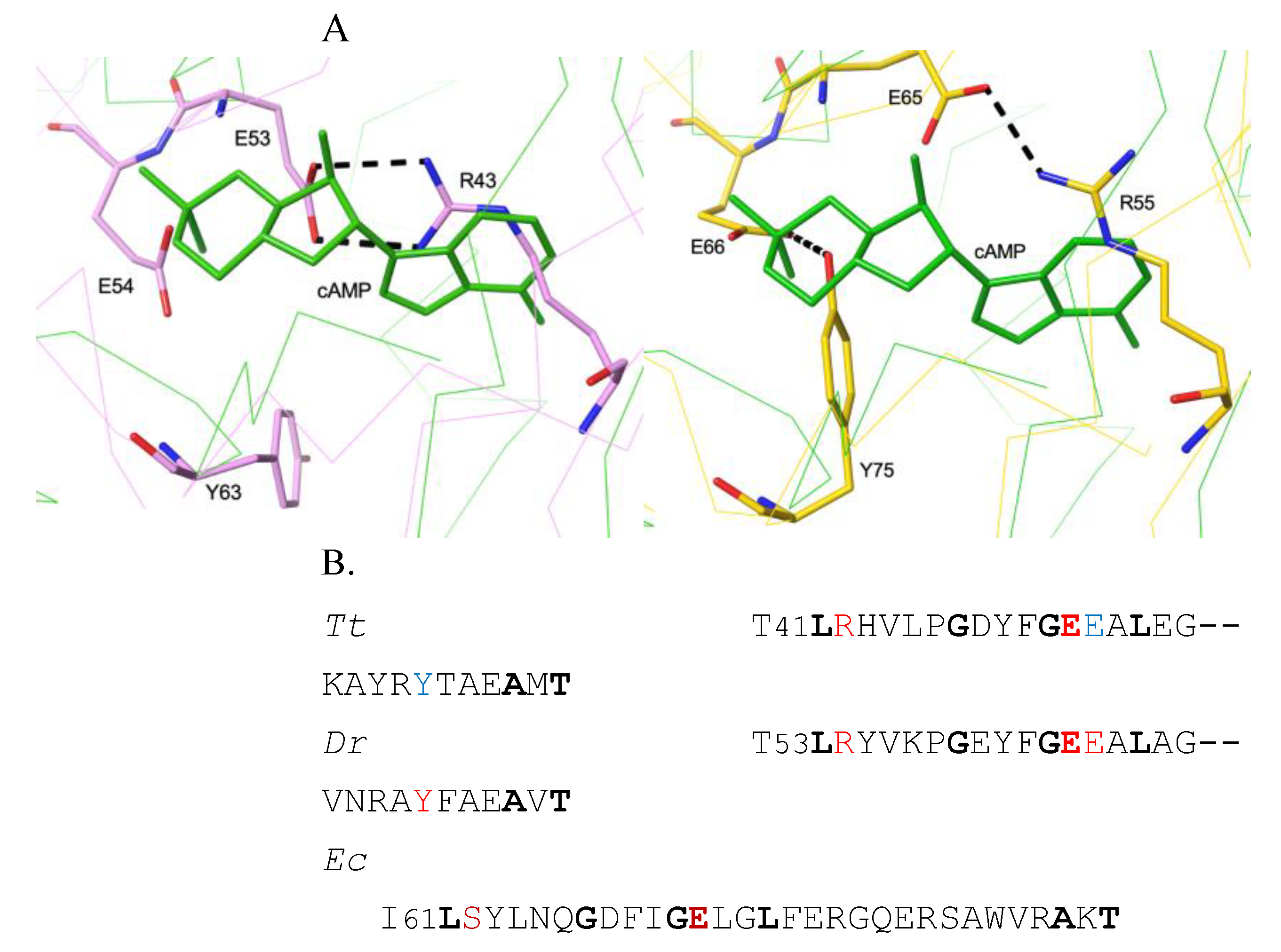 Preprints 190401 g008