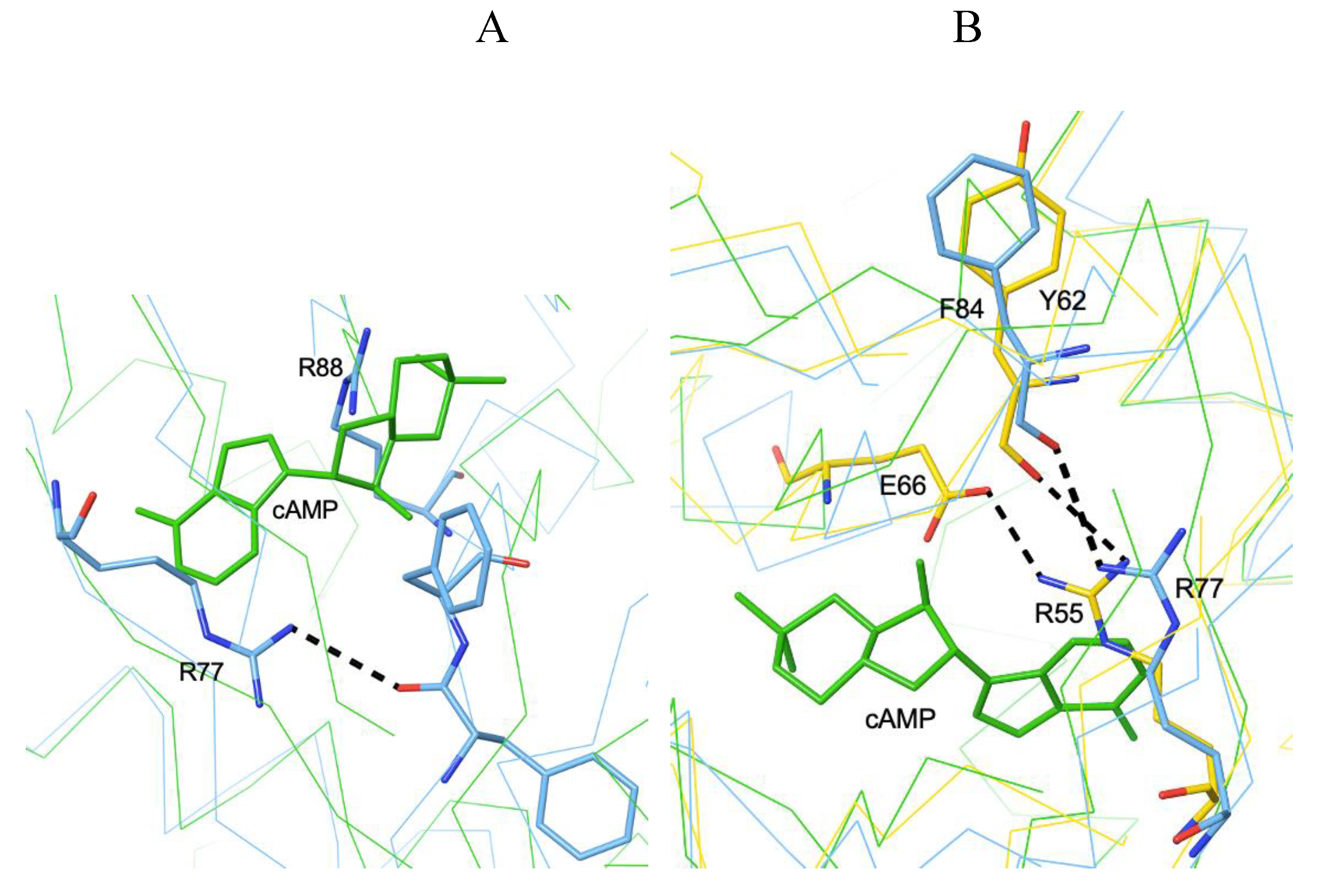 Preprints 190401 g009