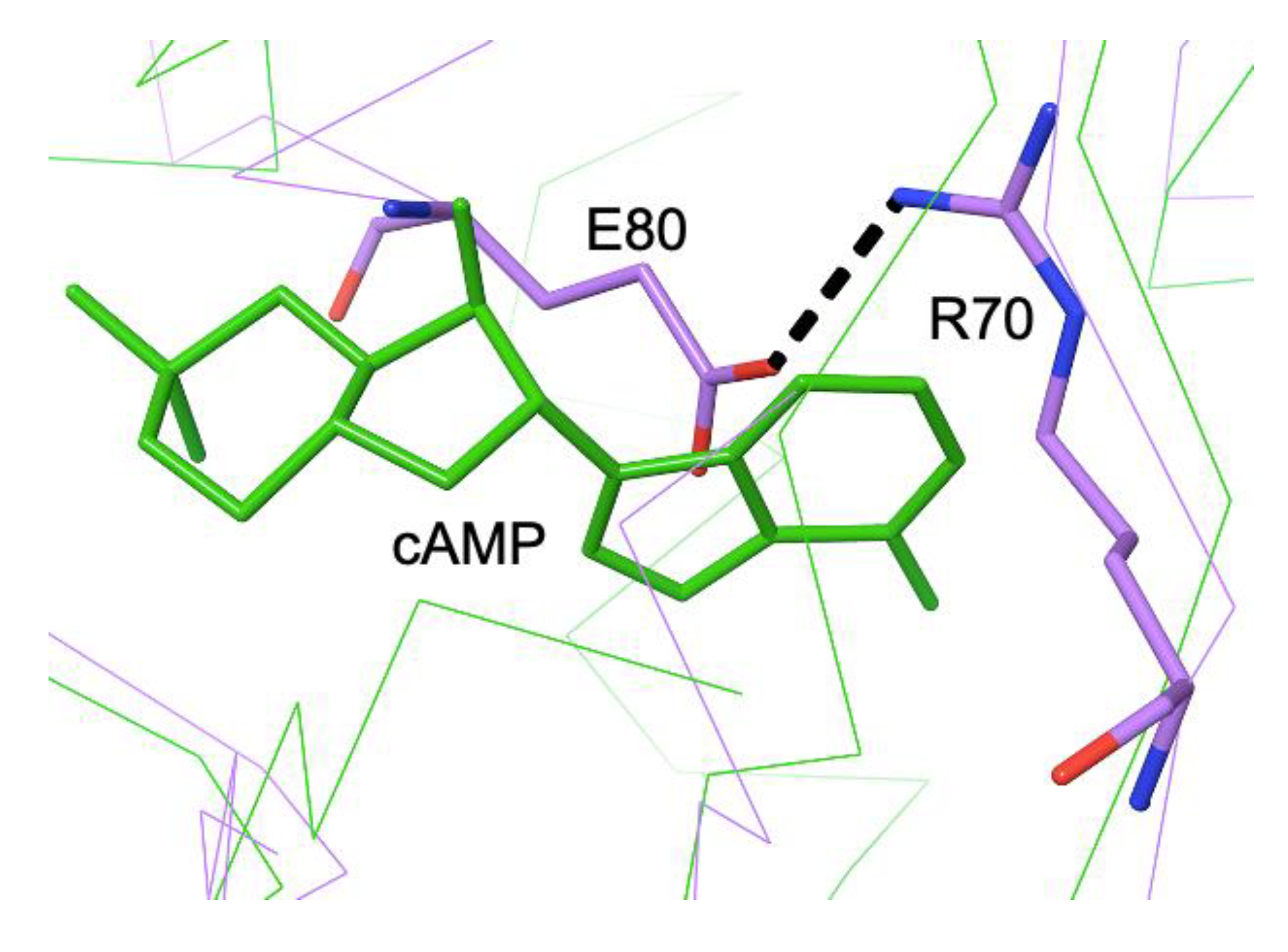 Preprints 190401 g011