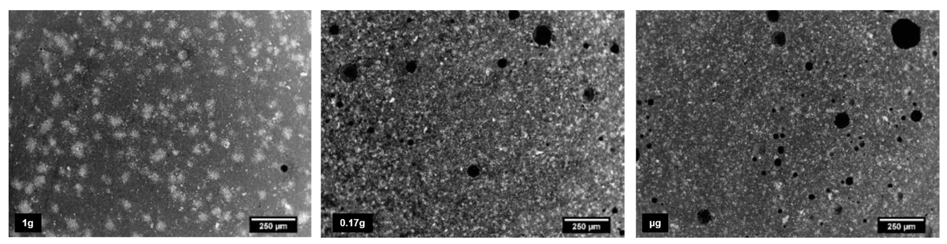 Preprints 165071 g006