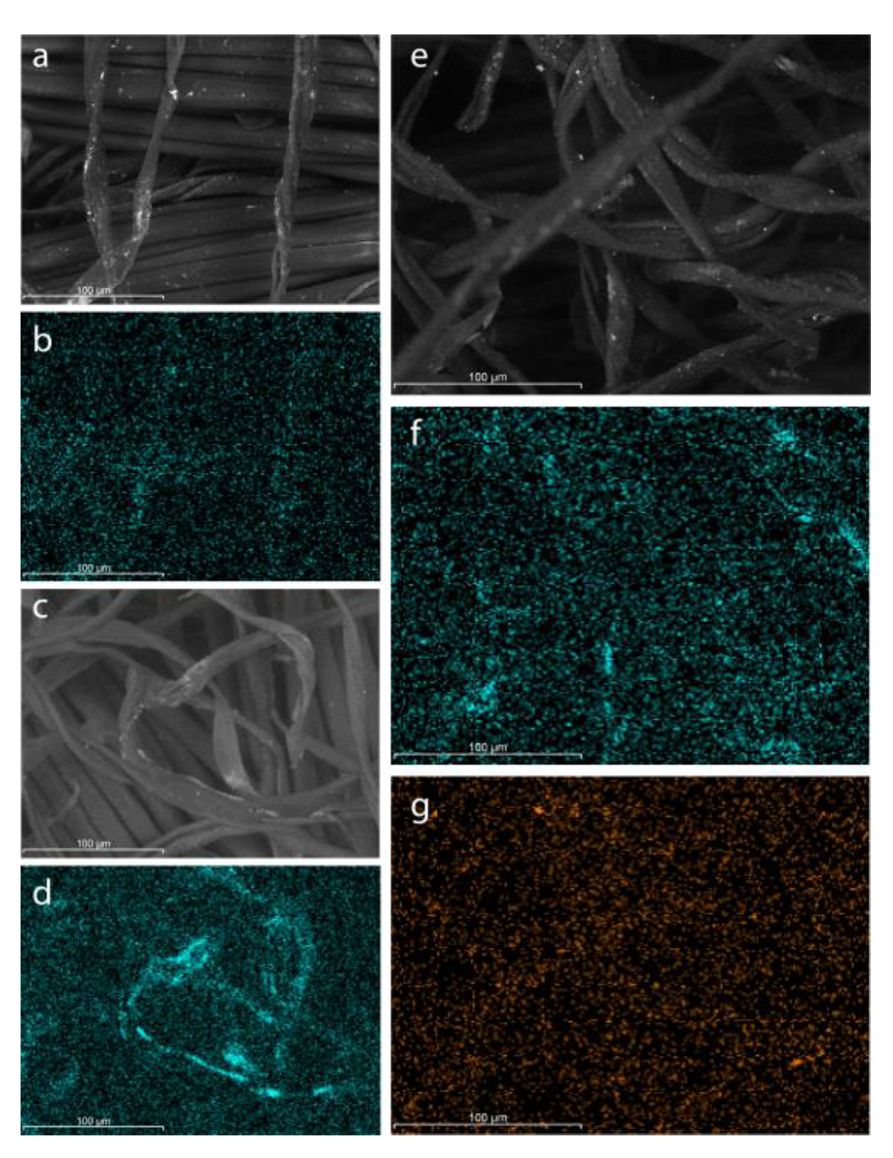 Preprints 71978 g001