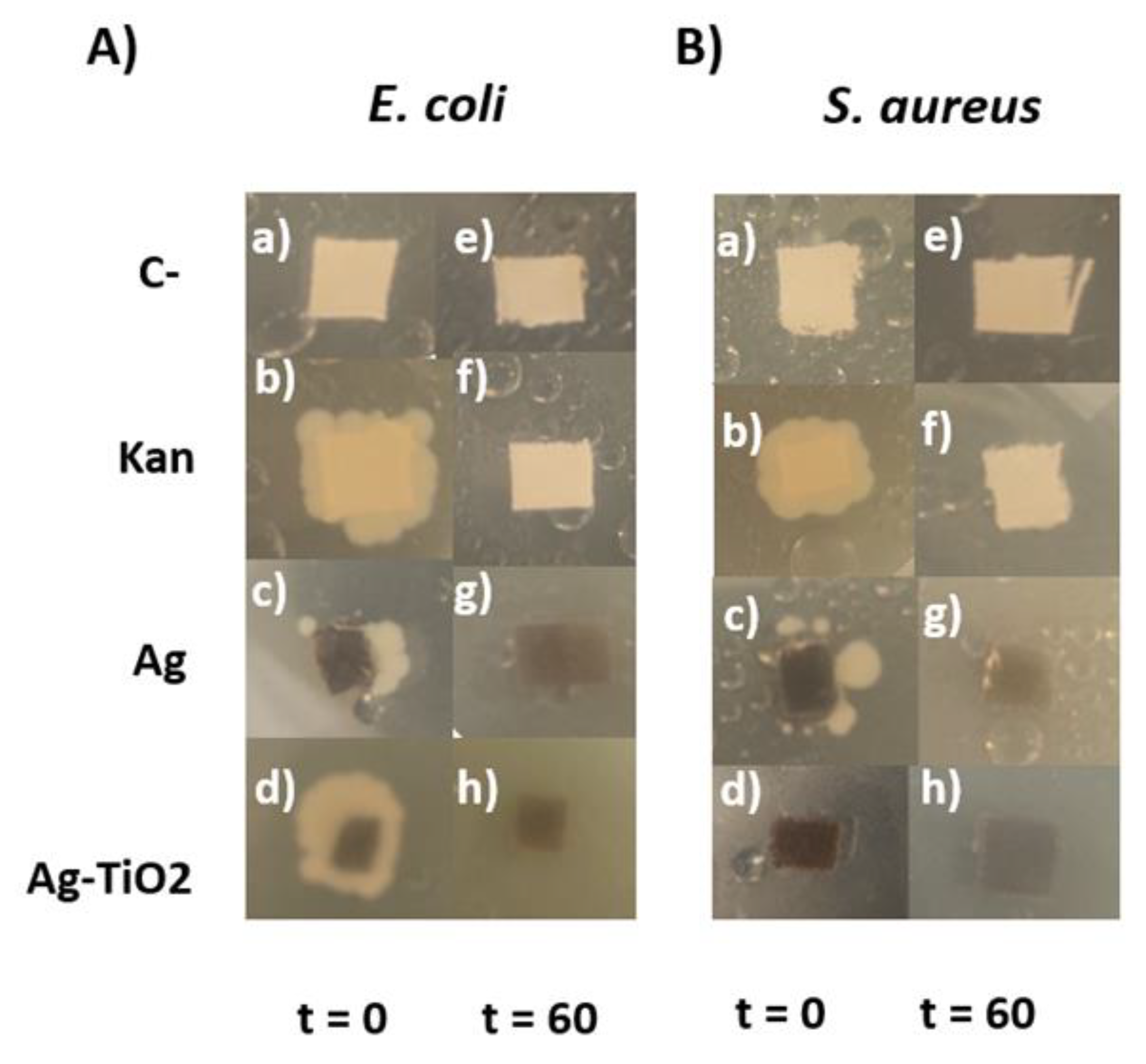 Preprints 71978 g013