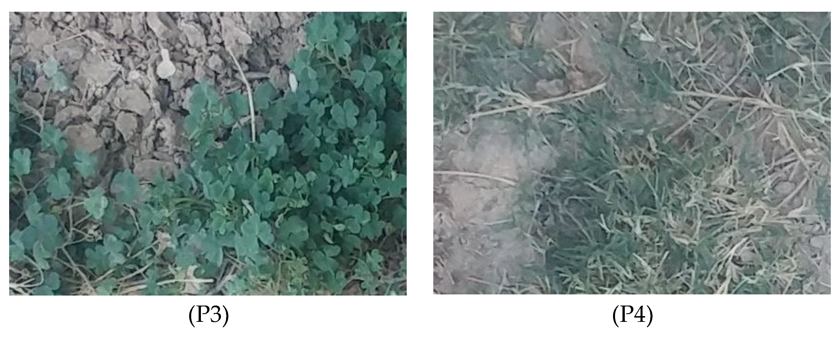 Preprints 178971 g001b