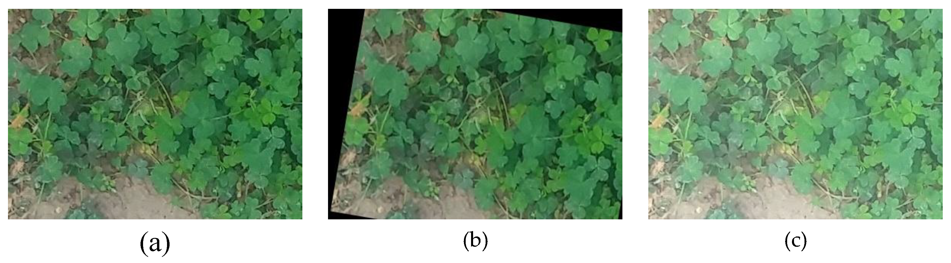 Preprints 178971 g002