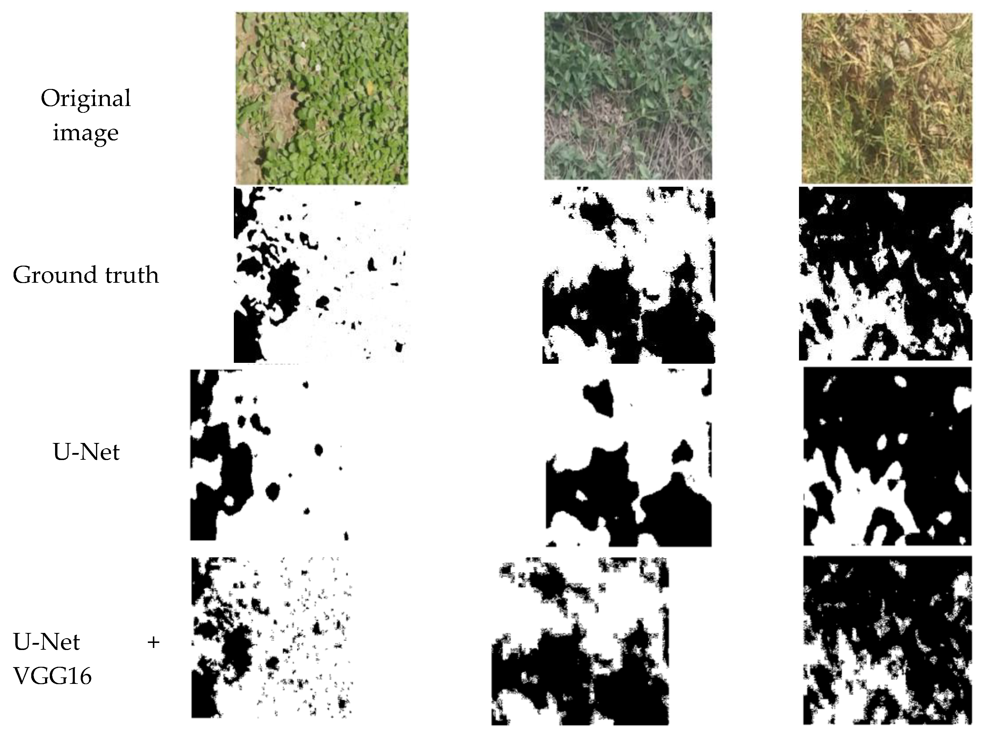 Preprints 178971 g008