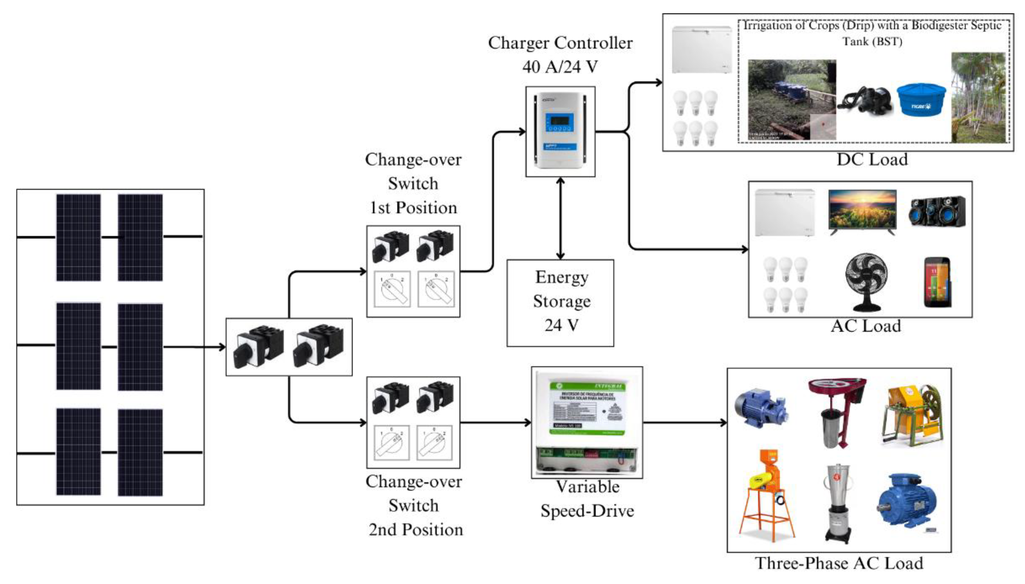 Preprints 145607 g011