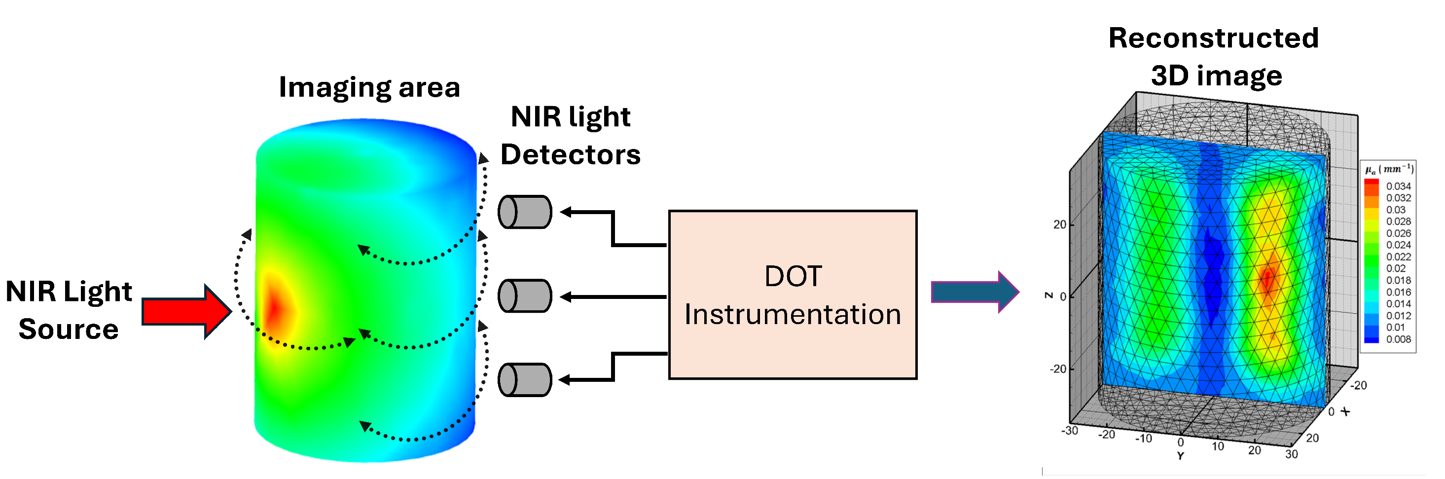Preprints 144314 g004