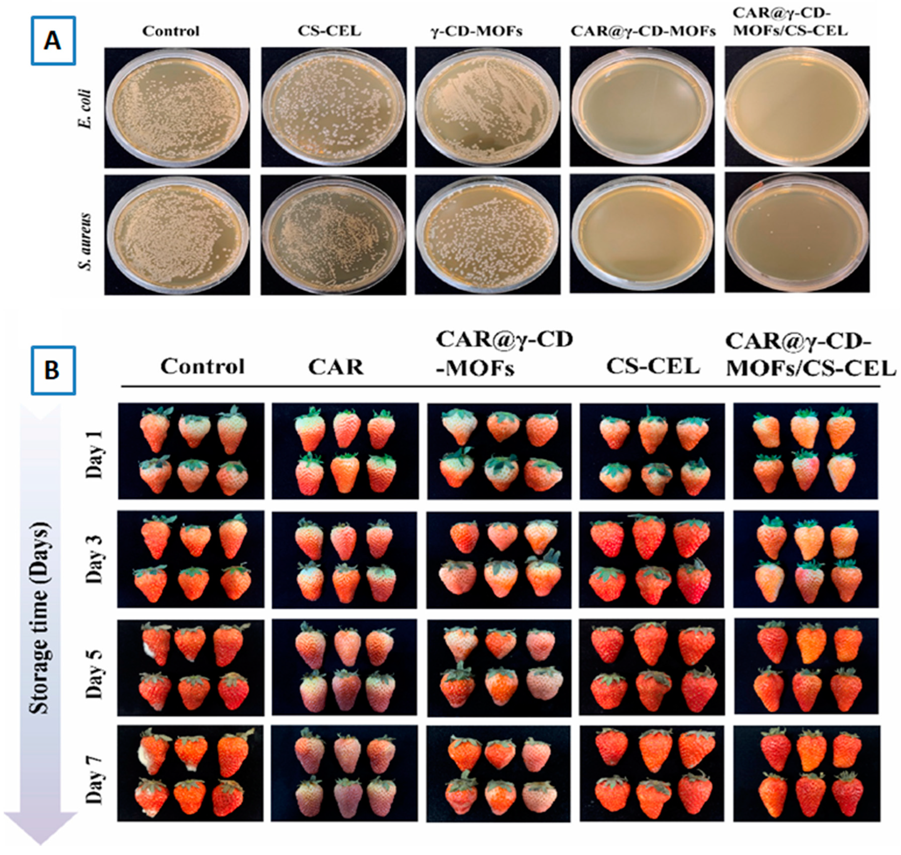 Preprints 141034 g012