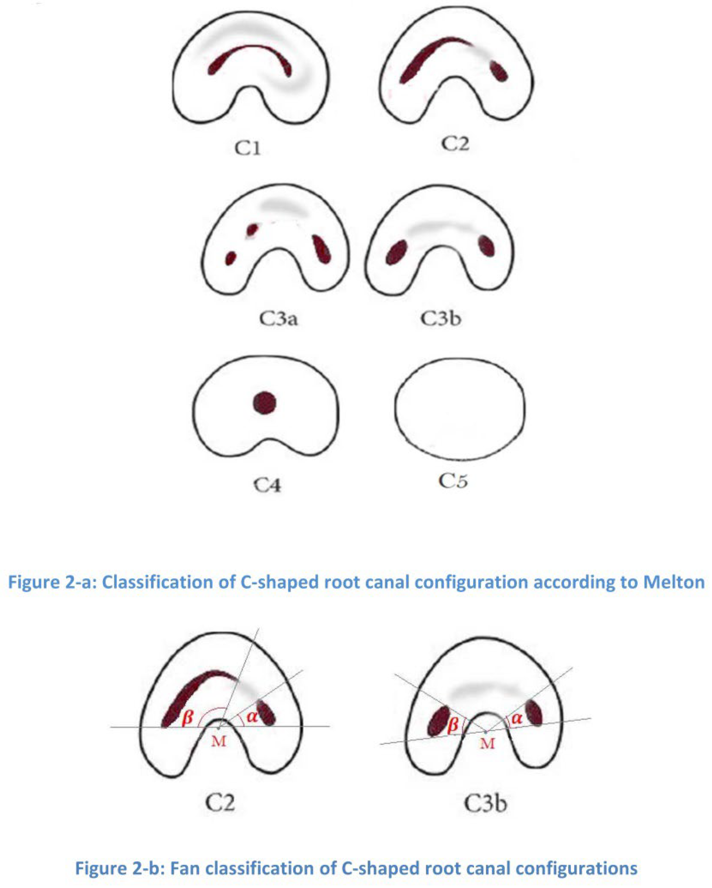 Preprints 148495 i002
