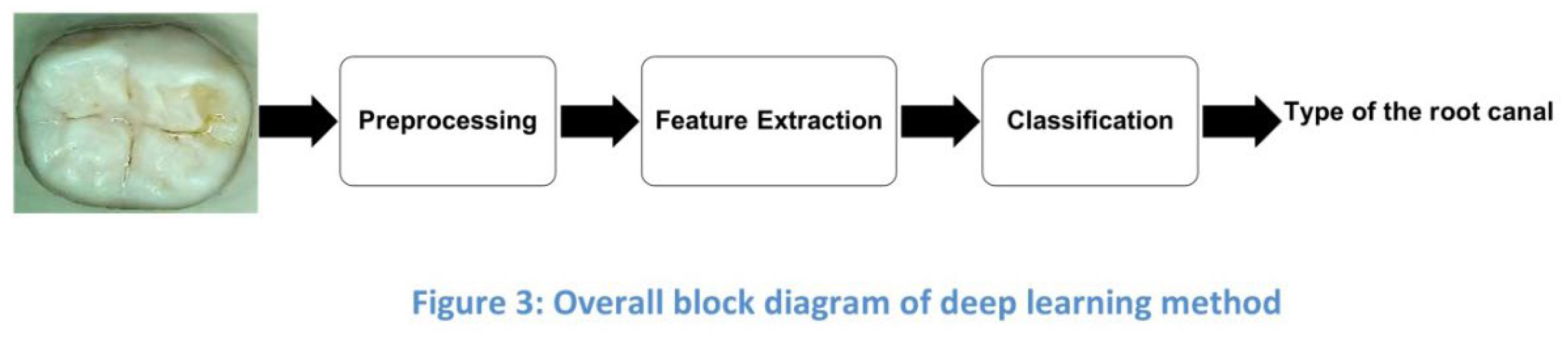 Preprints 148495 i003
