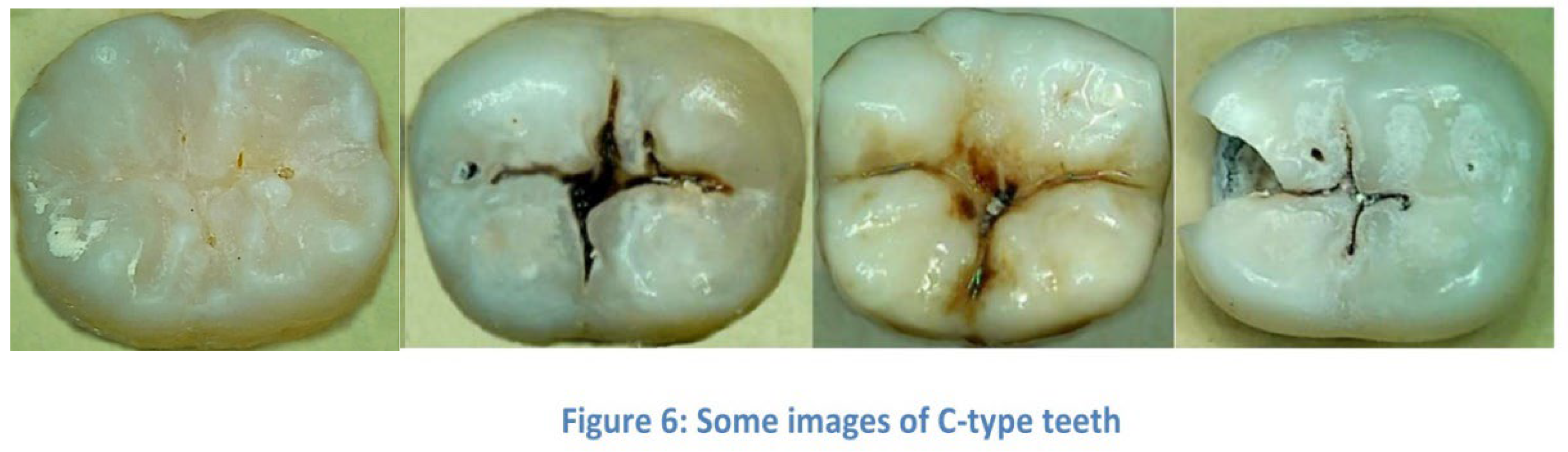 Preprints 148495 i005