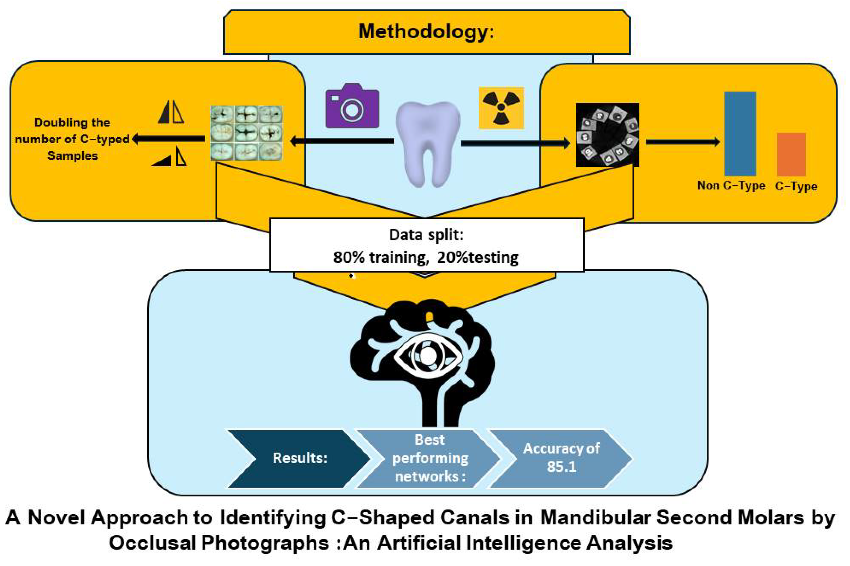 Preprints 148495 i009
