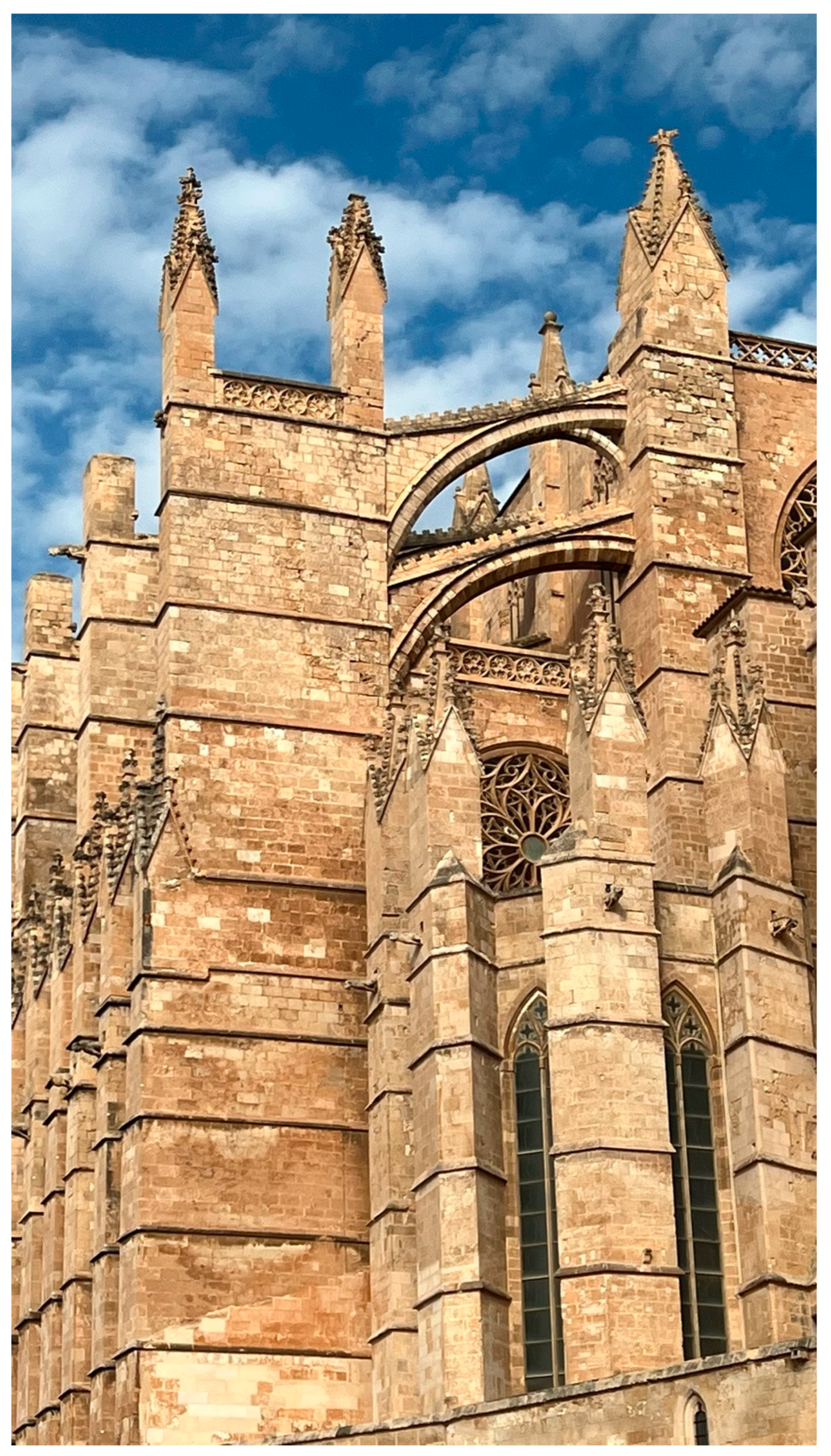 Preprints 158270 g003