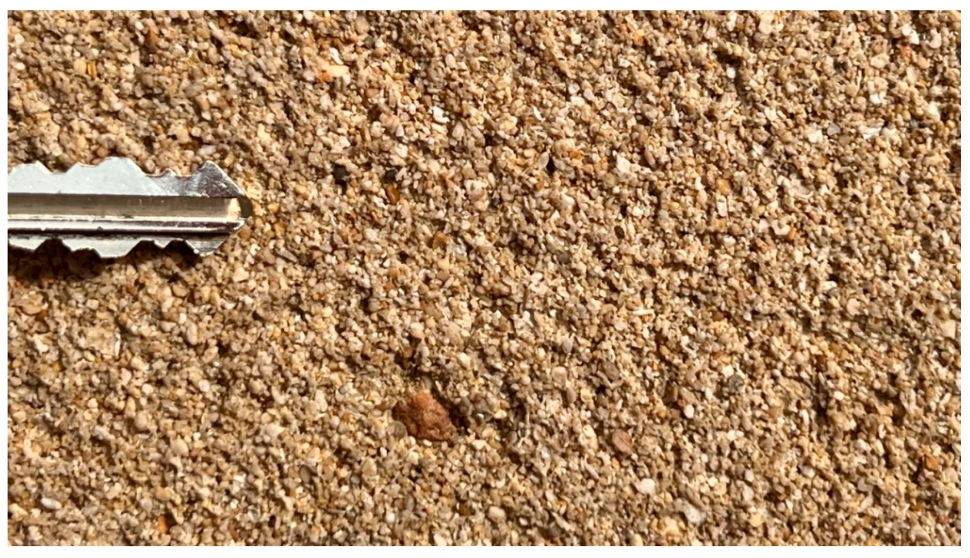 Preprints 158270 g004