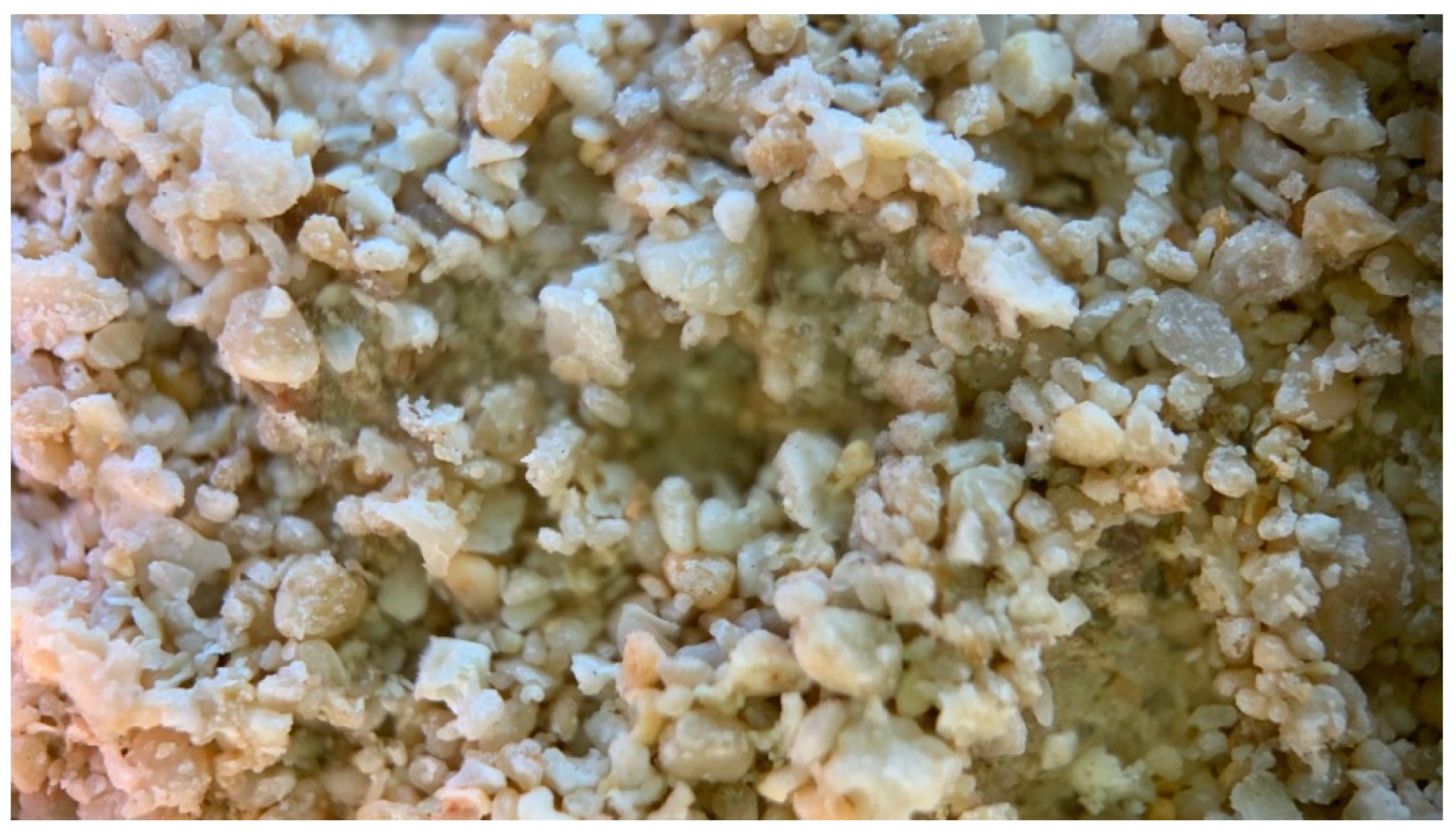 Preprints 158270 g005