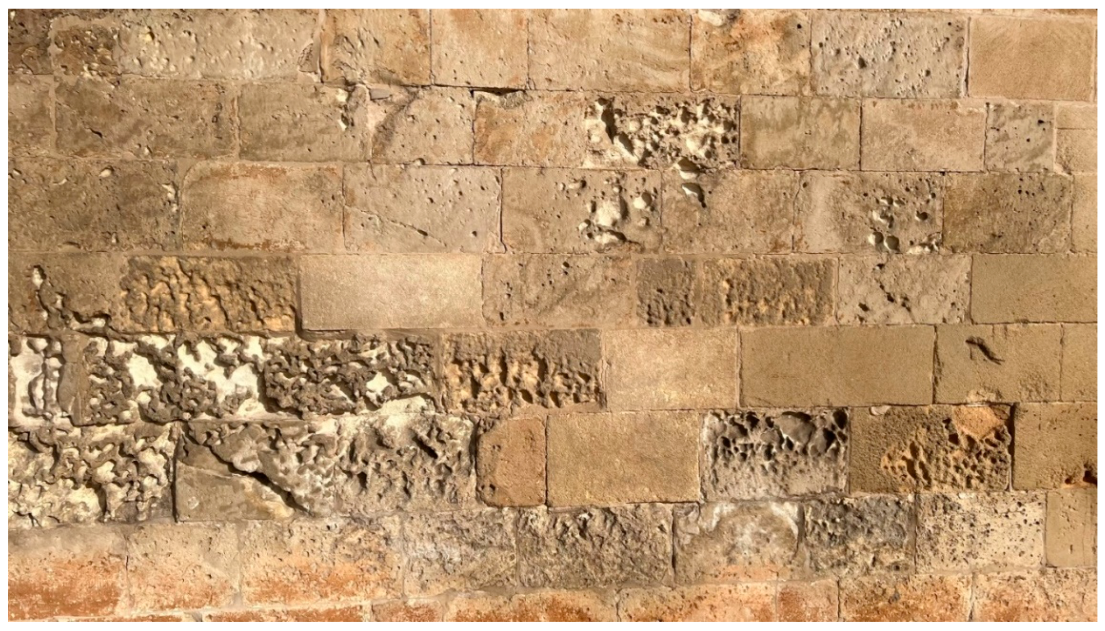 Preprints 158270 g006