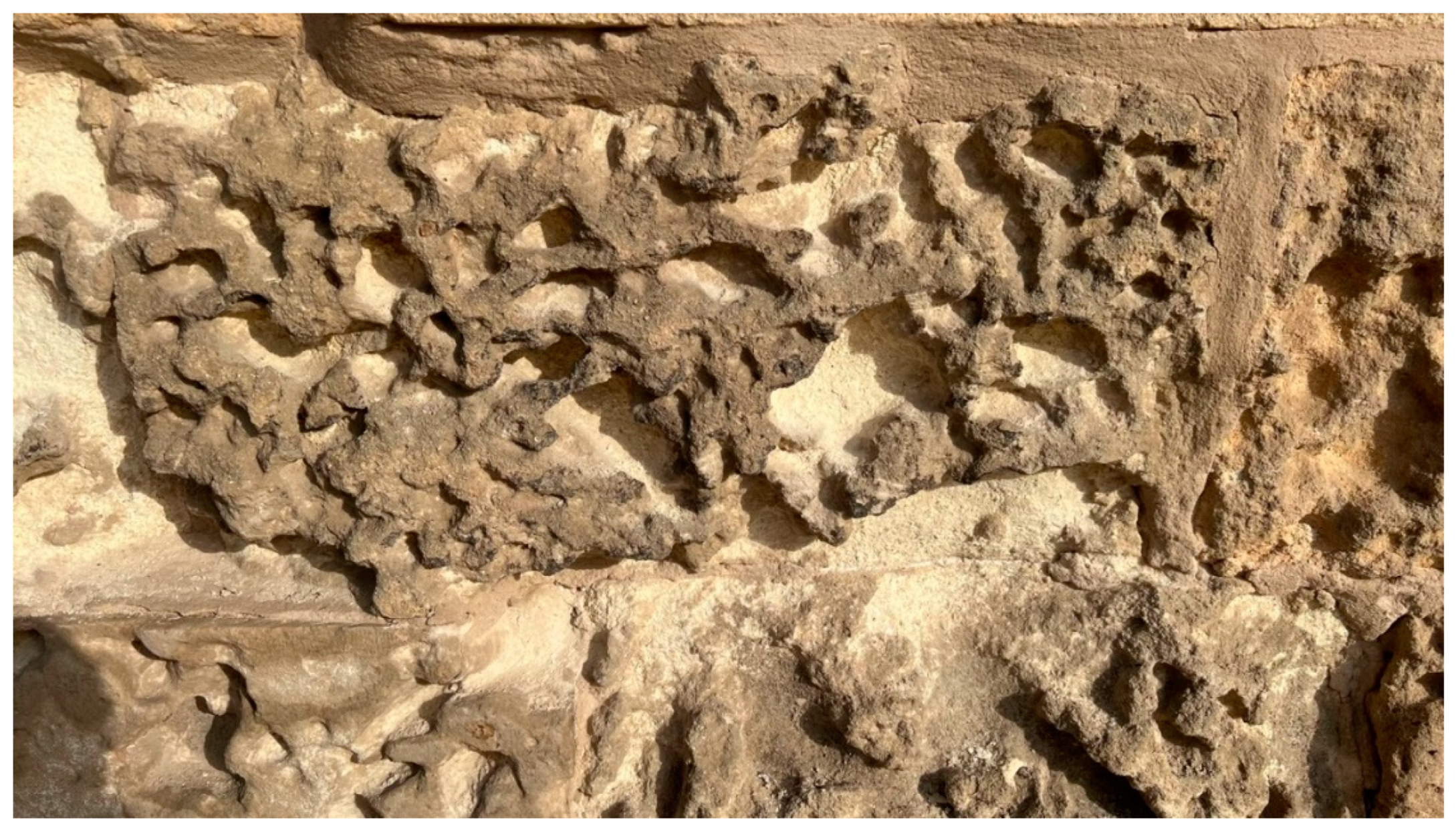 Preprints 158270 g007