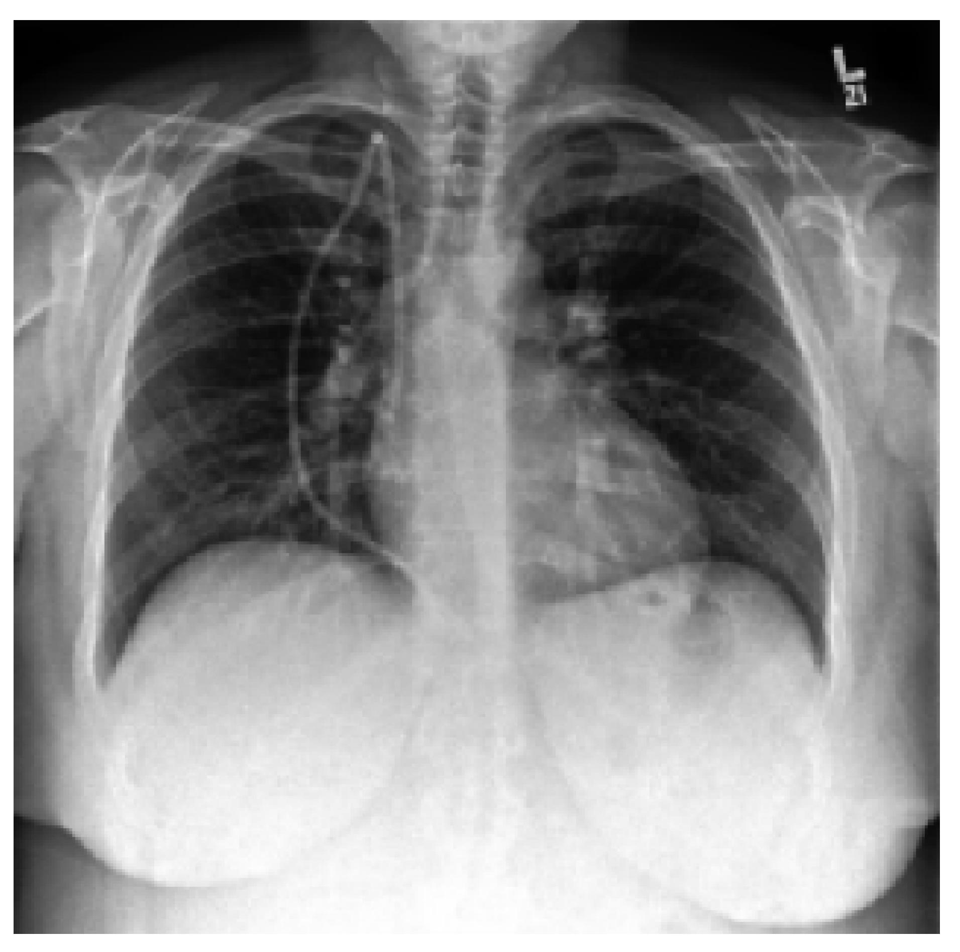 Preprints 162310 g005