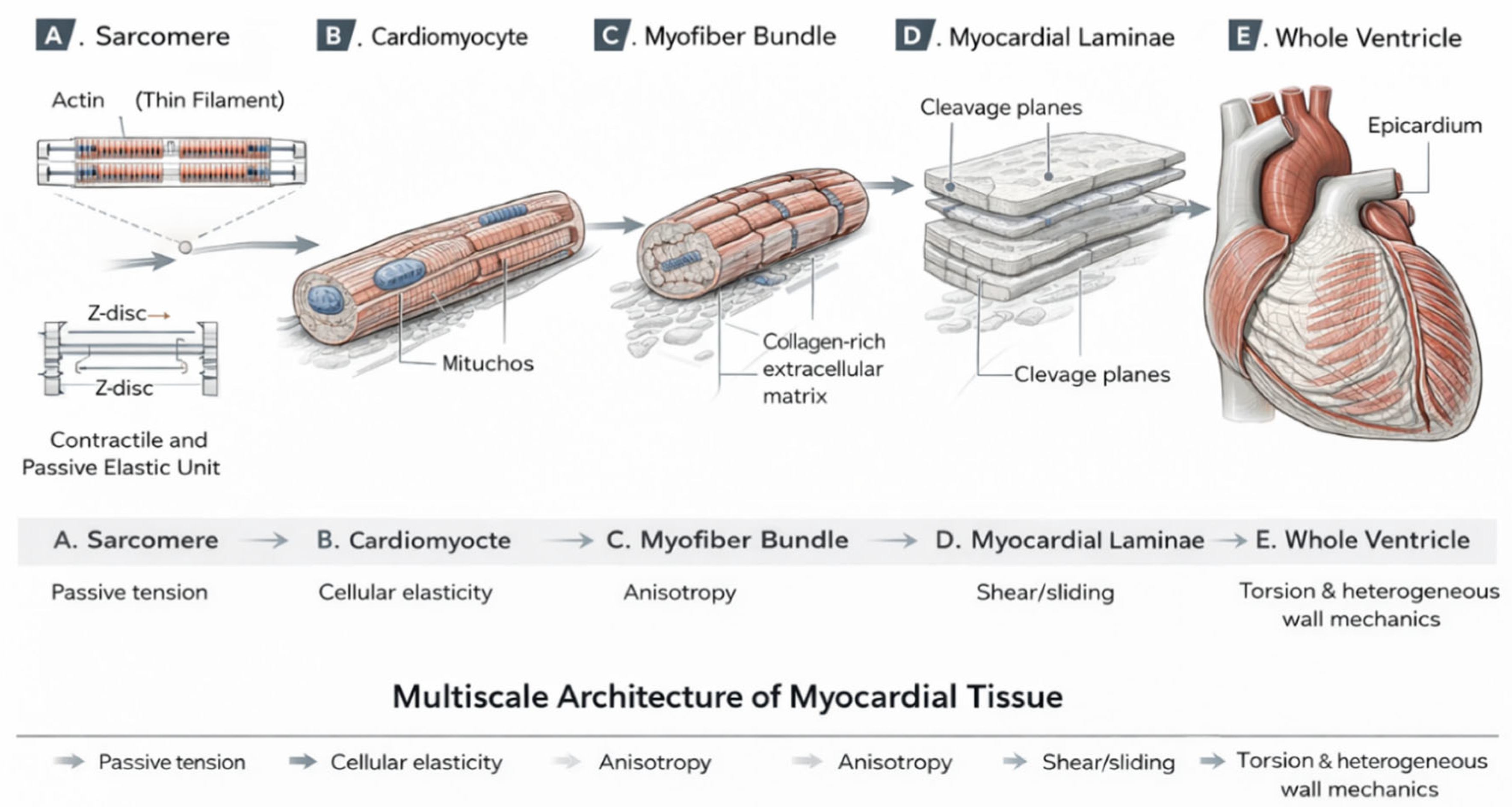 Preprints 206618 g001 Preprints 206618 g001