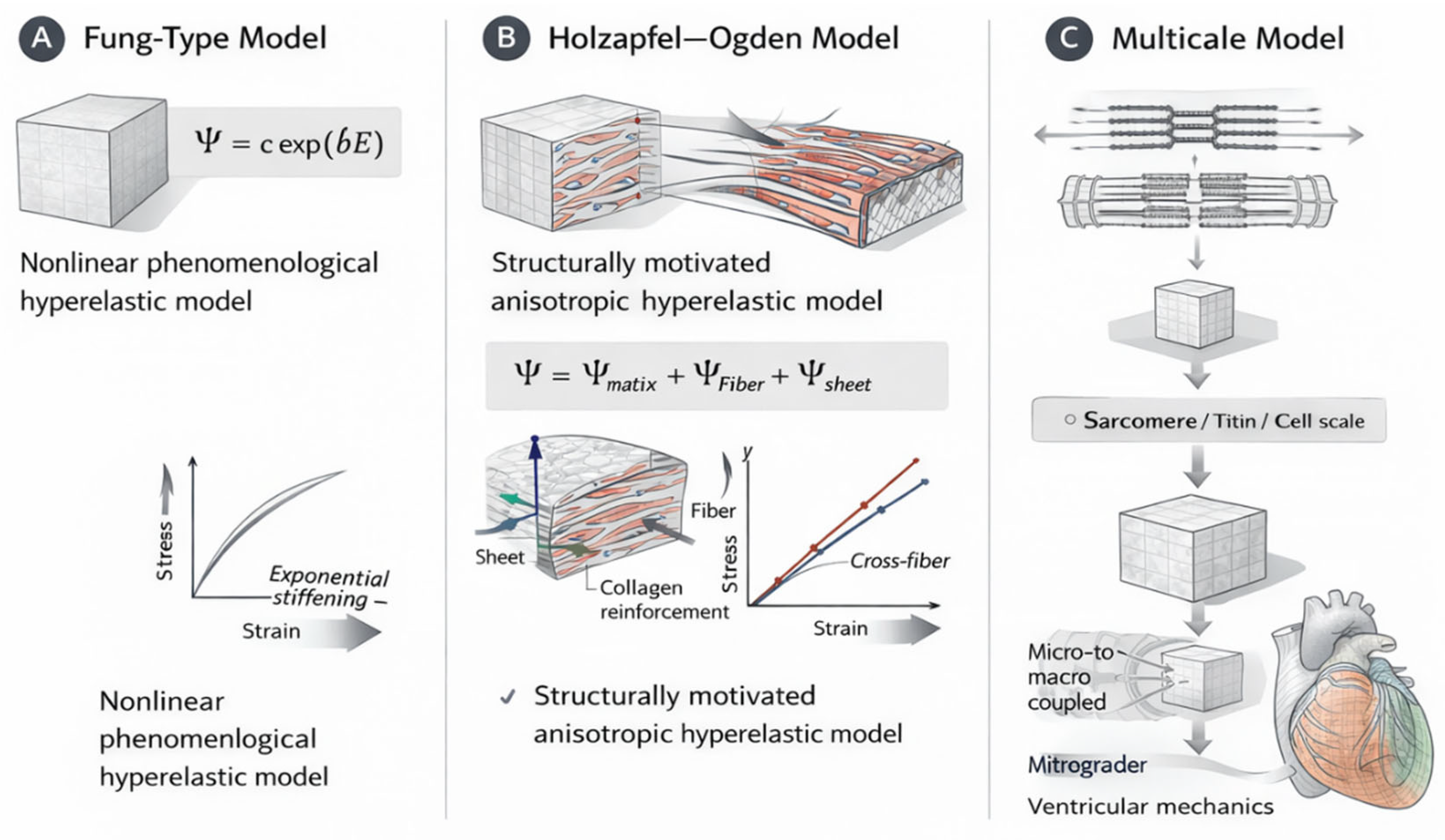 Preprints 206618 g003 Preprints 206618 g003