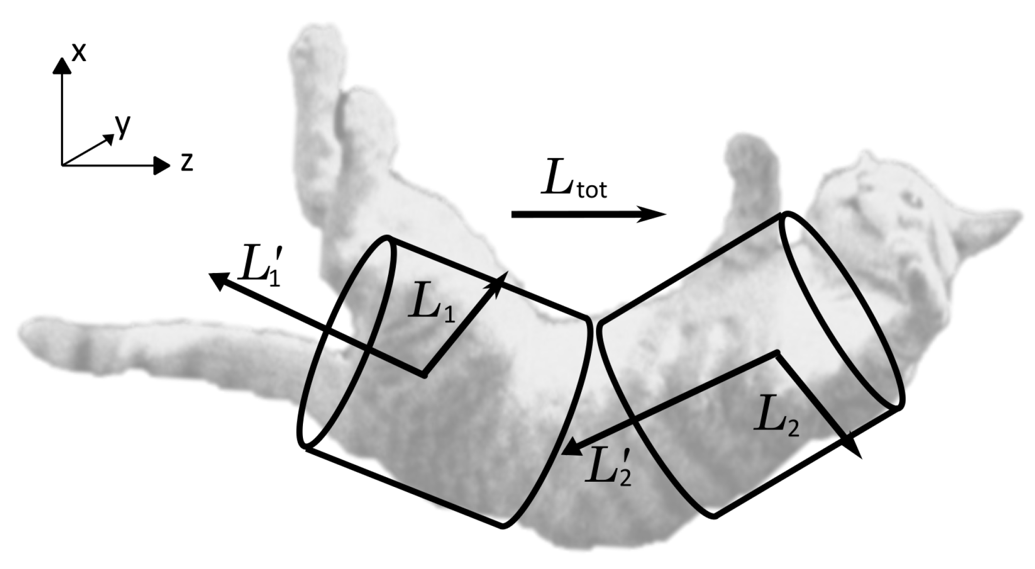 Preprints 98937 g013