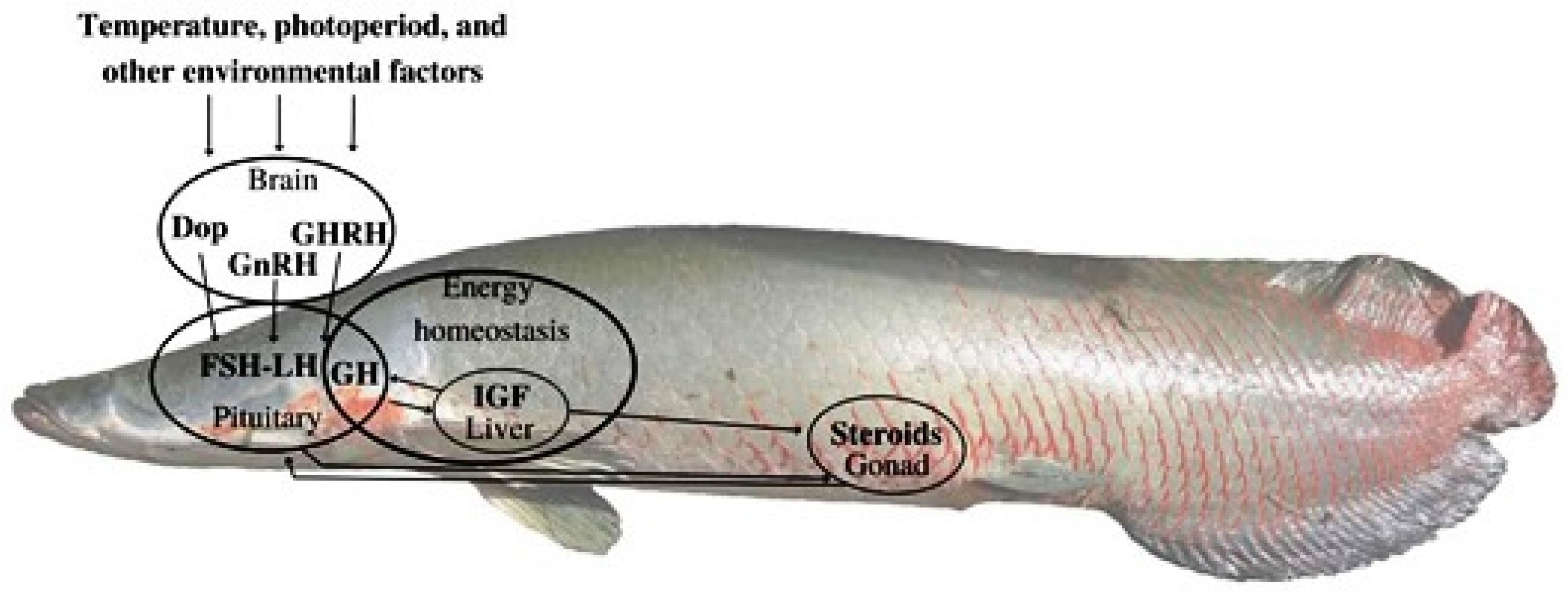 Preprints 107841 g001