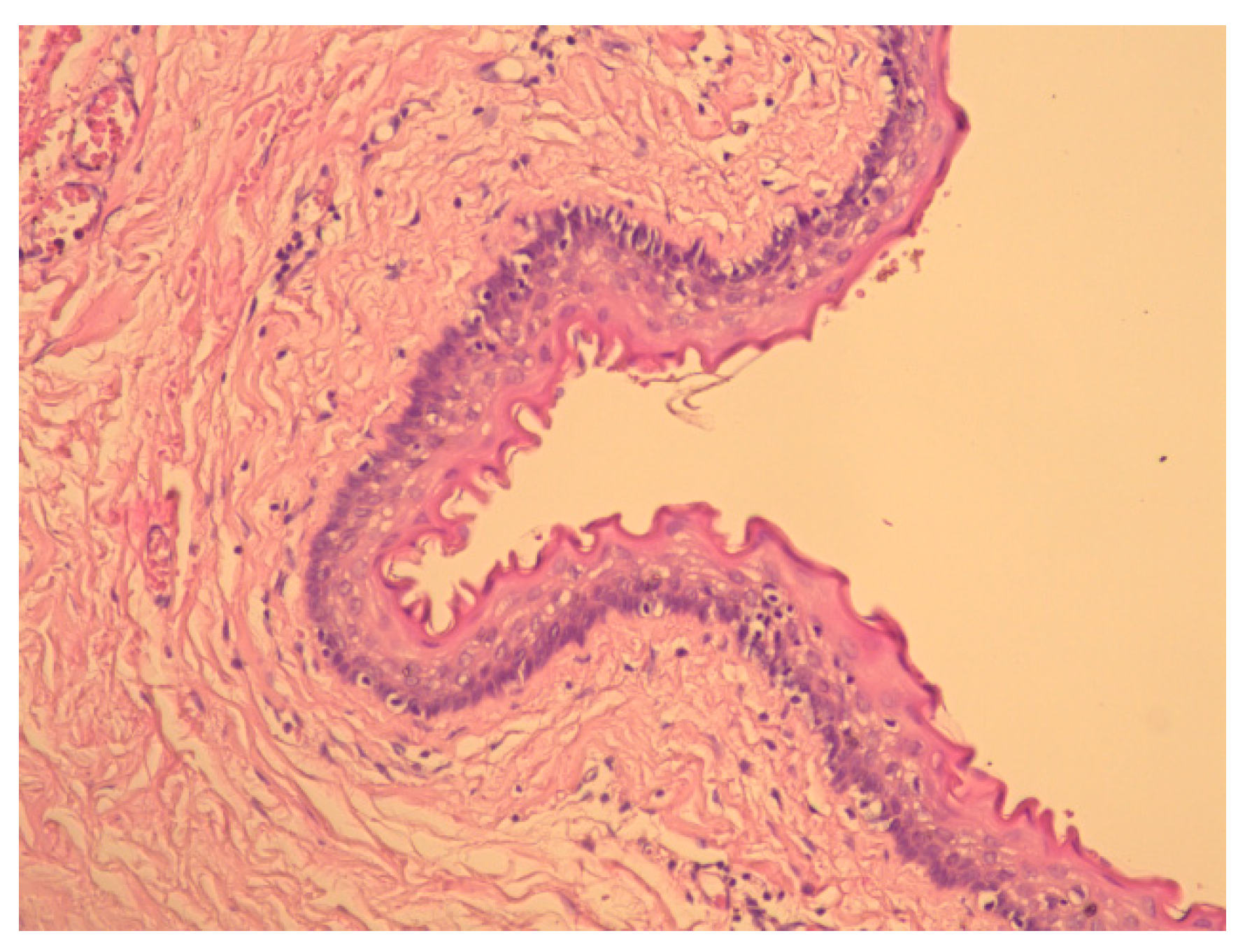 Preprints 141825 g004