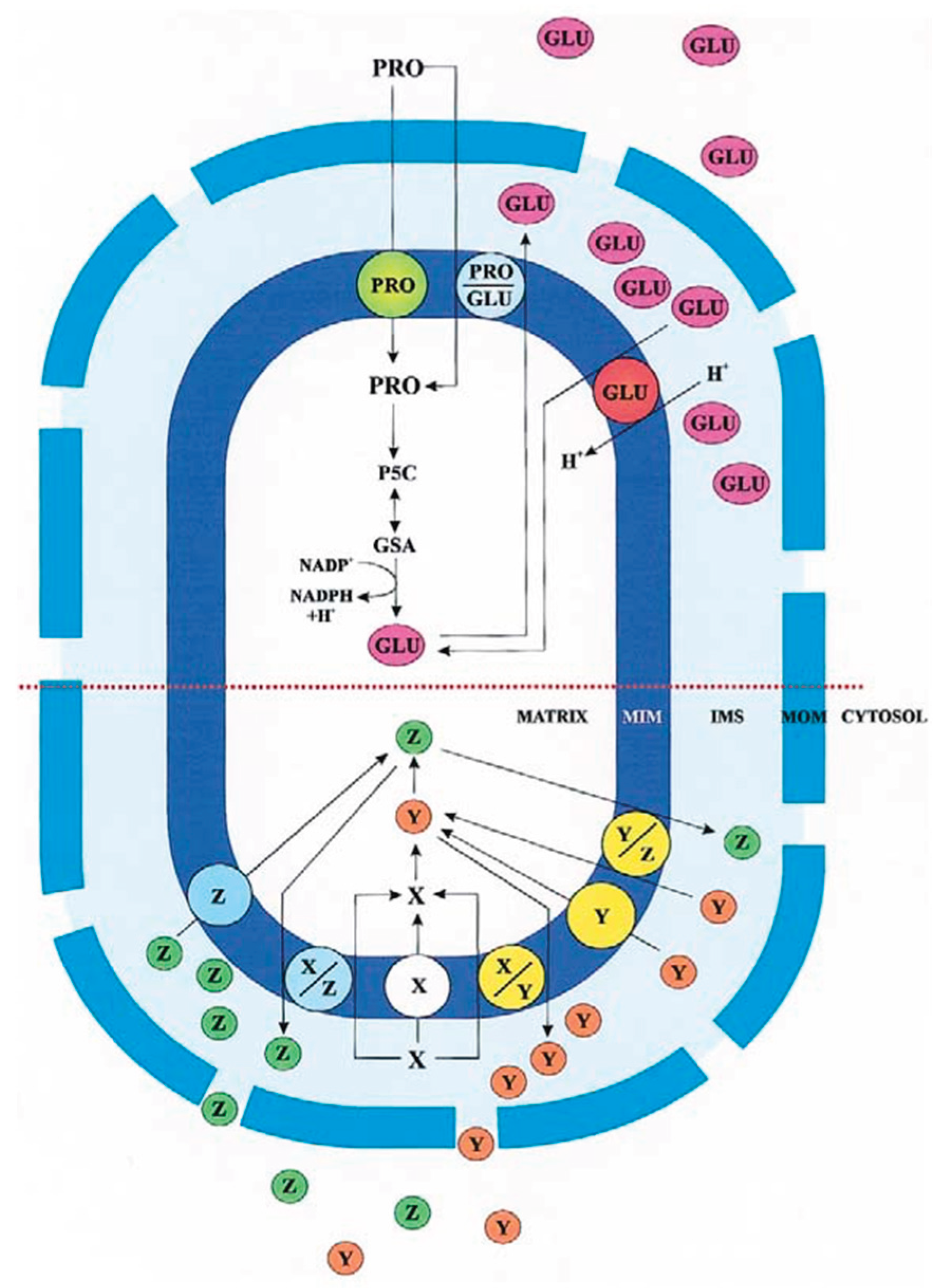 Preprints 190060 g001
