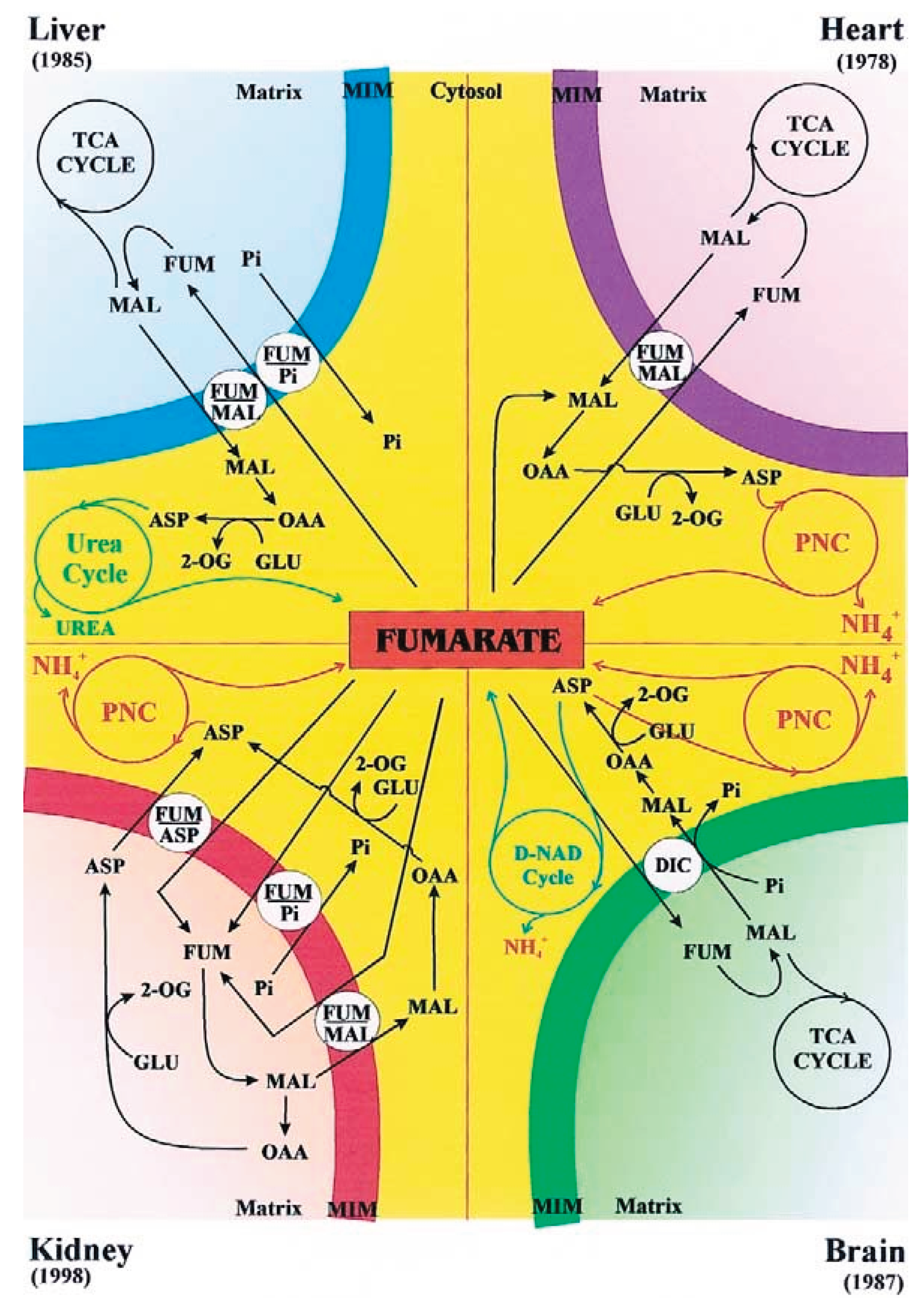 Preprints 190060 g002