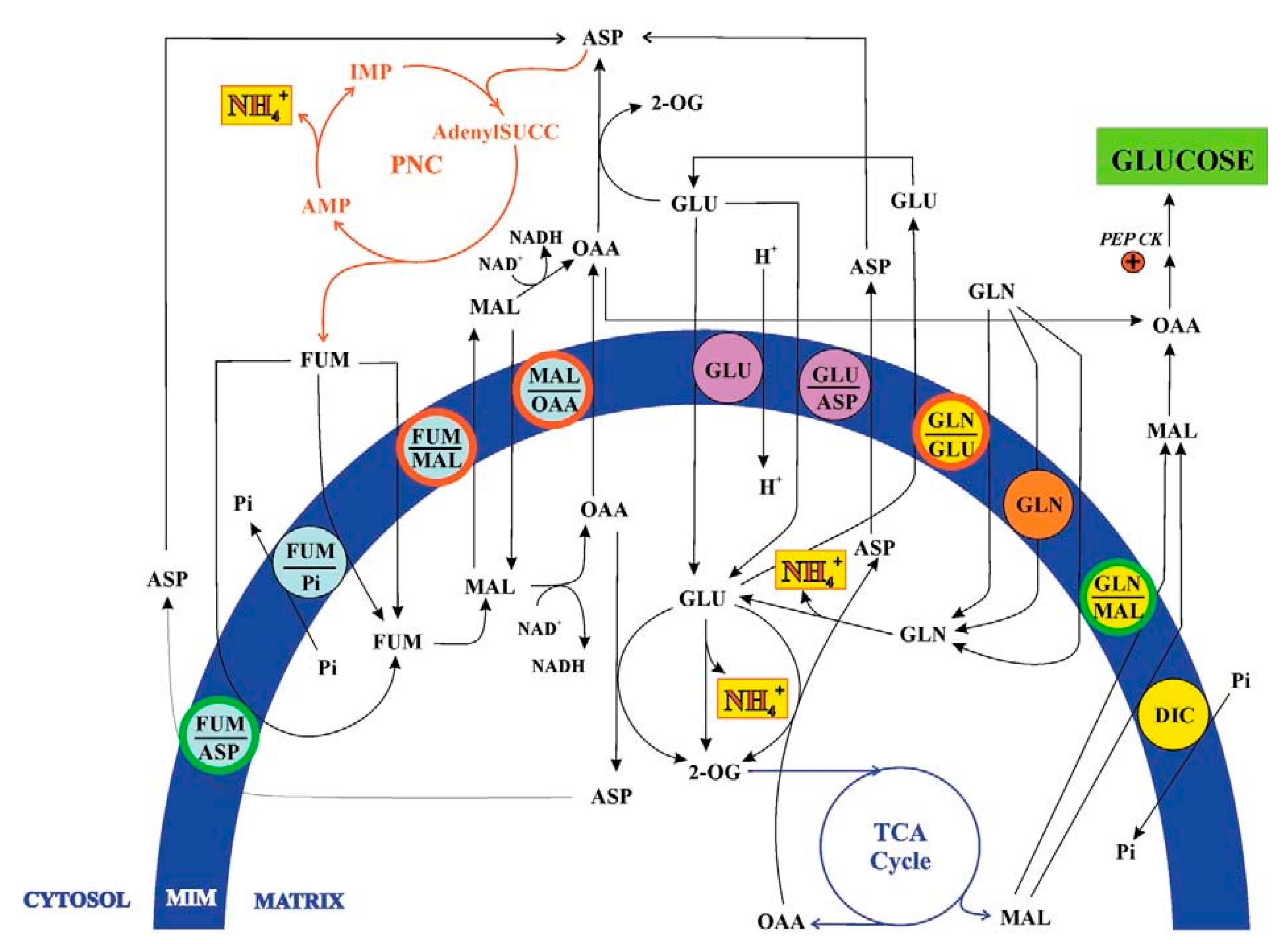 Preprints 190060 g003