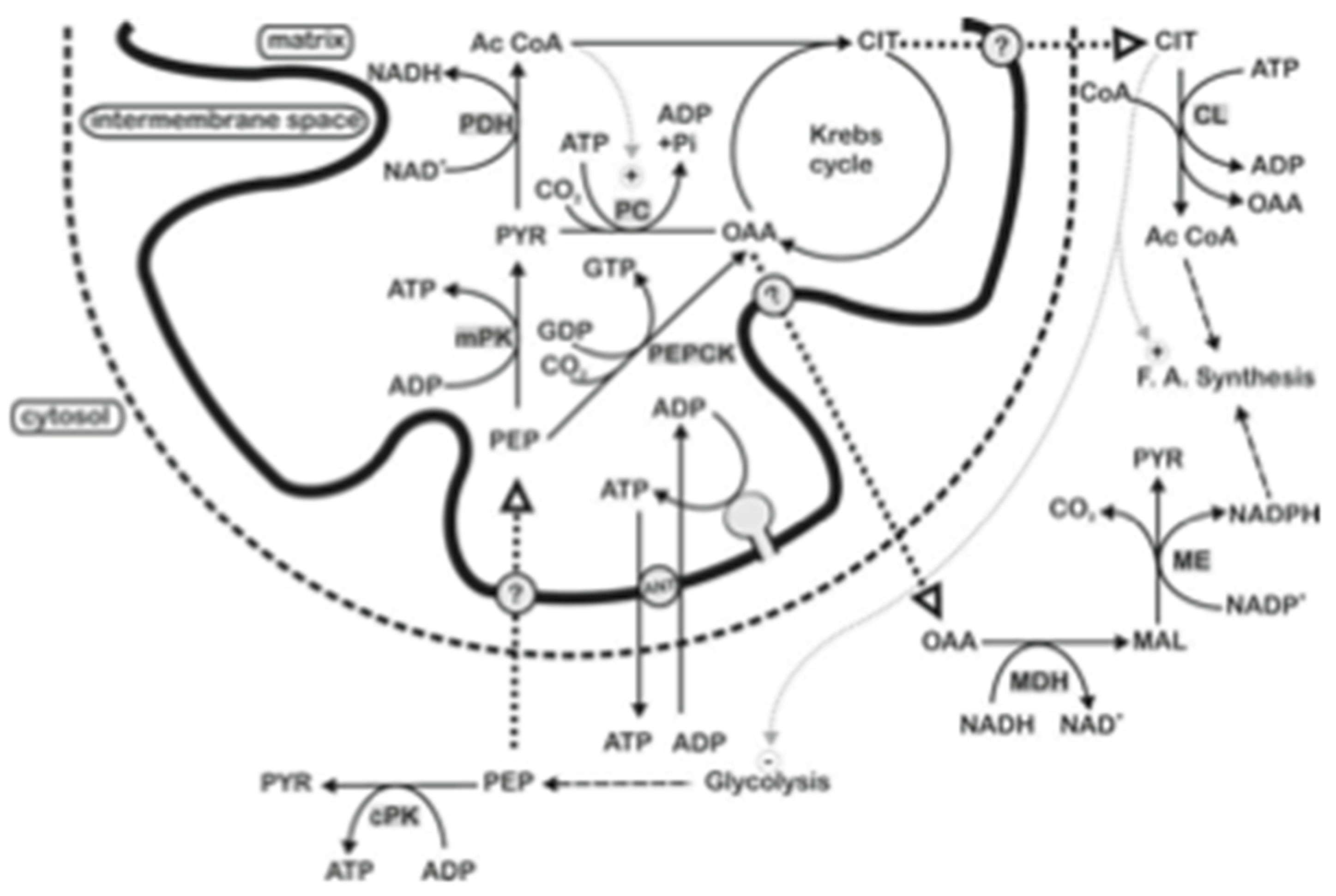 Preprints 190060 g004