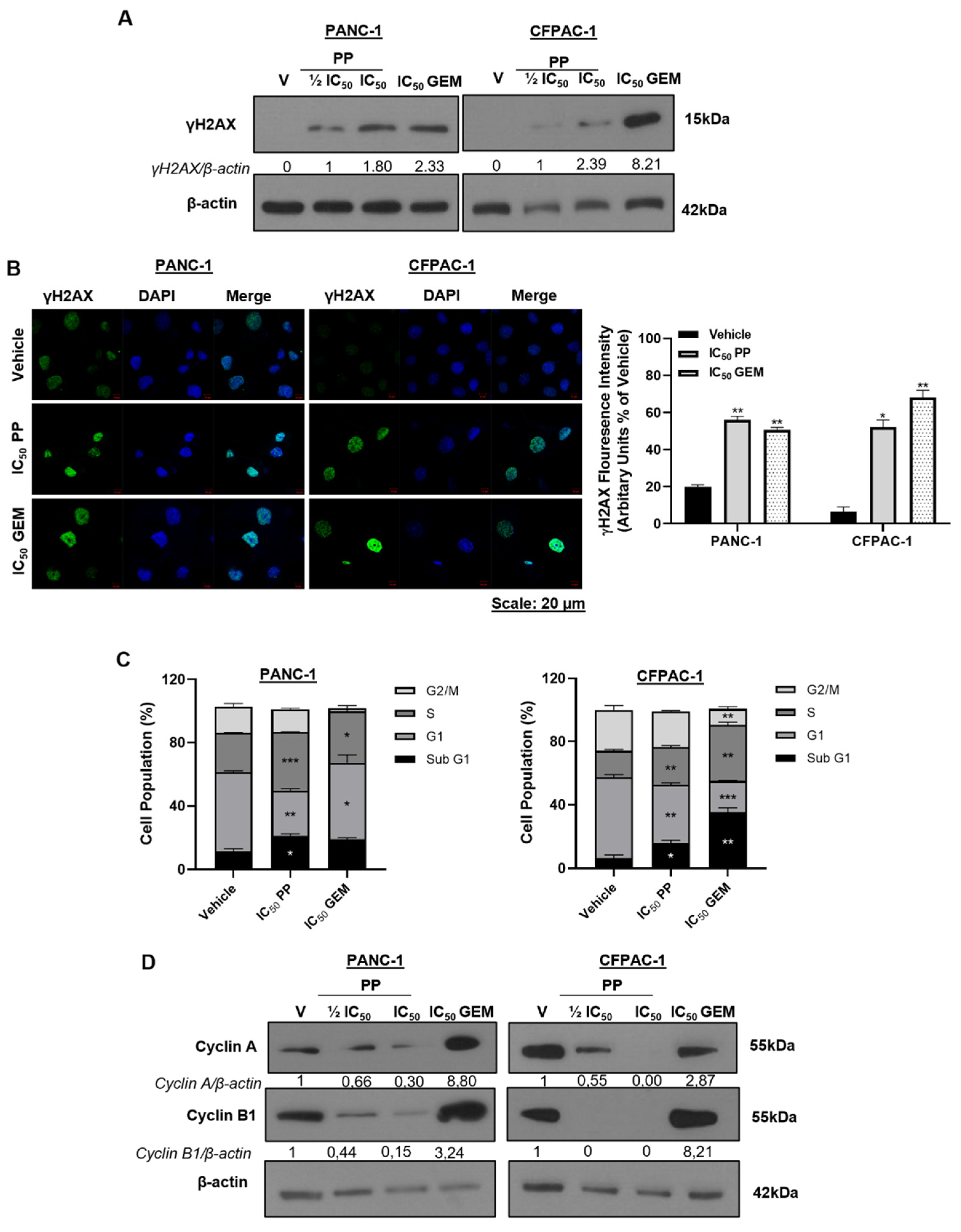 Preprints 100214 g002