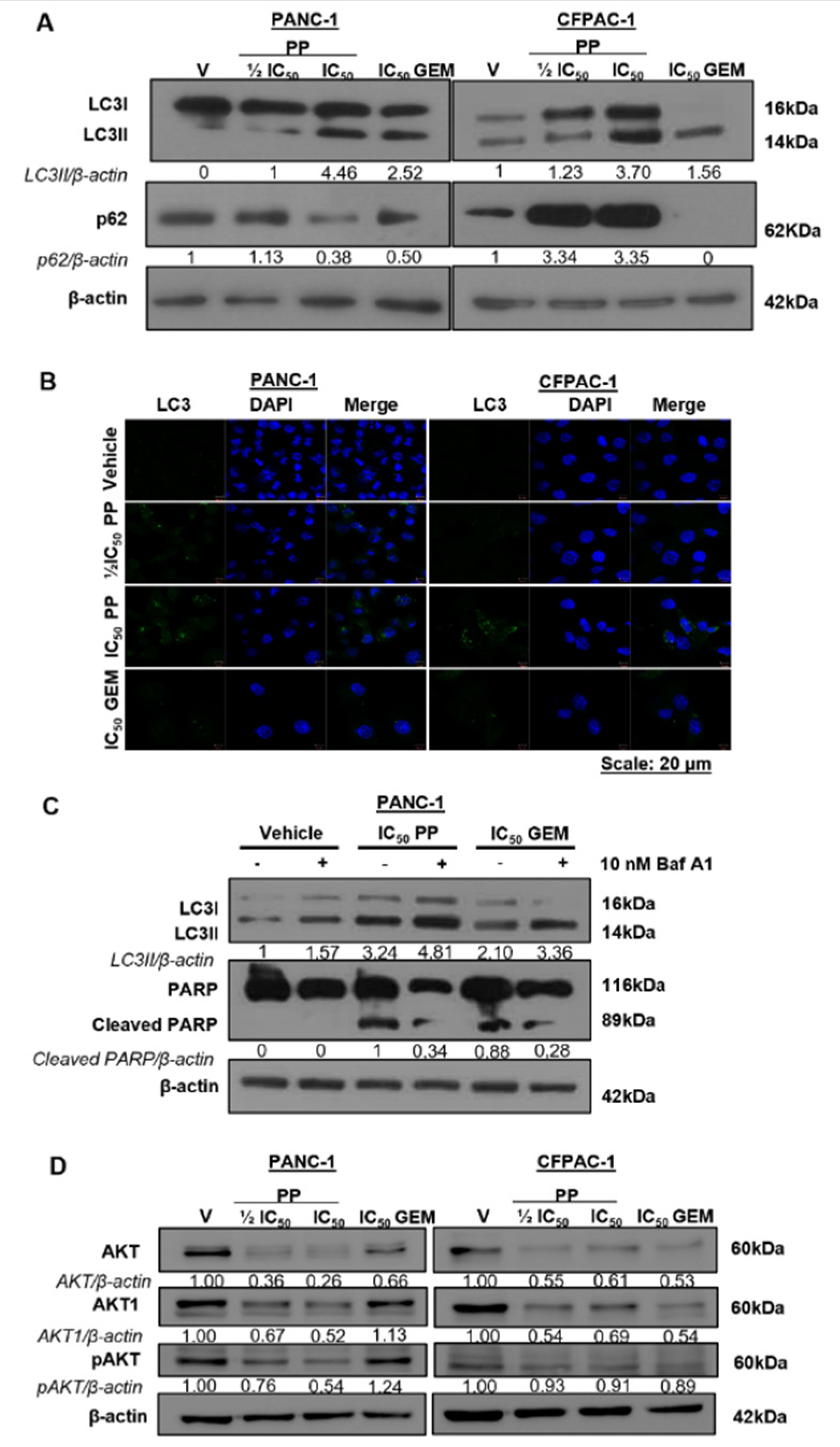 Preprints 100214 g004