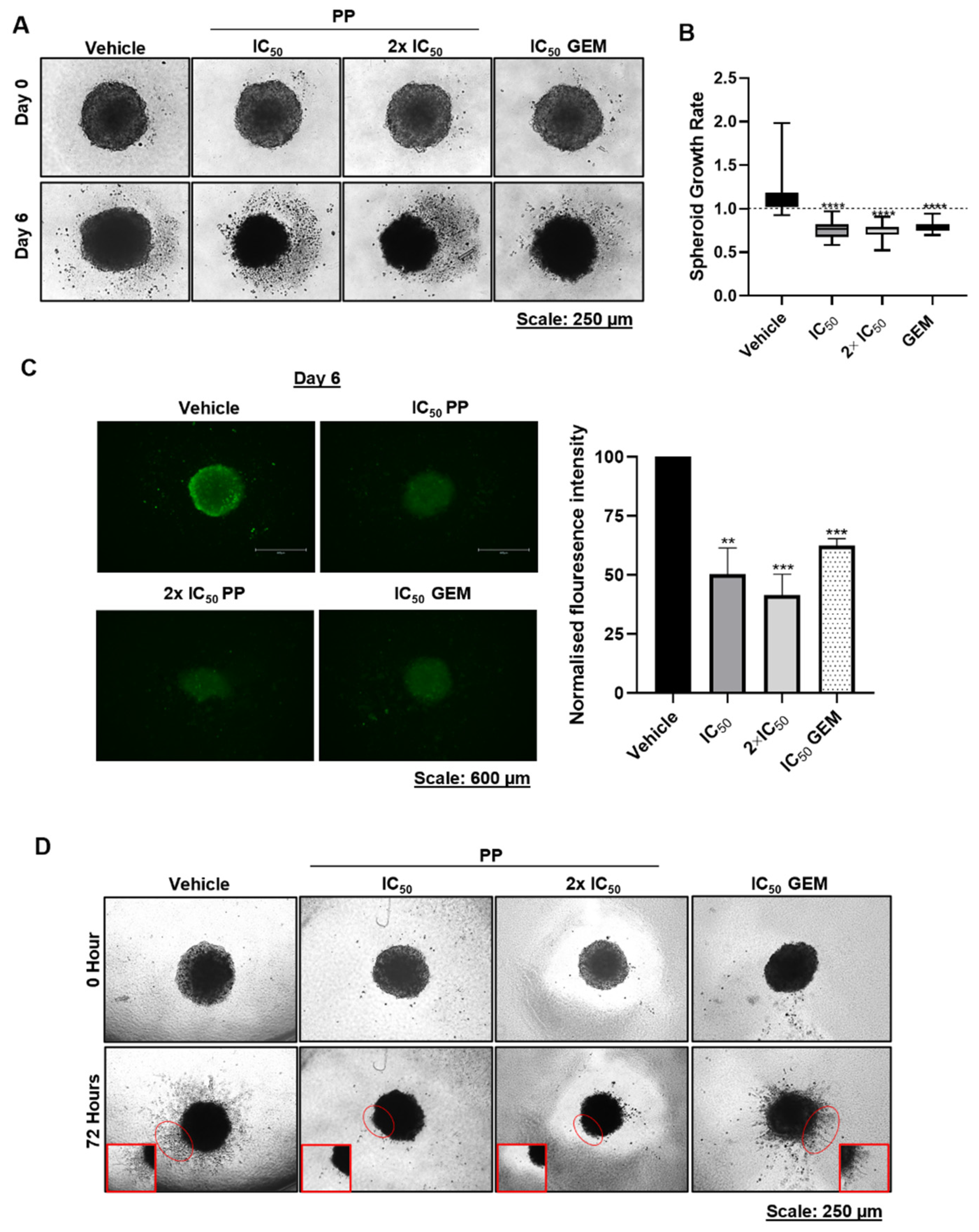 Preprints 100214 g006