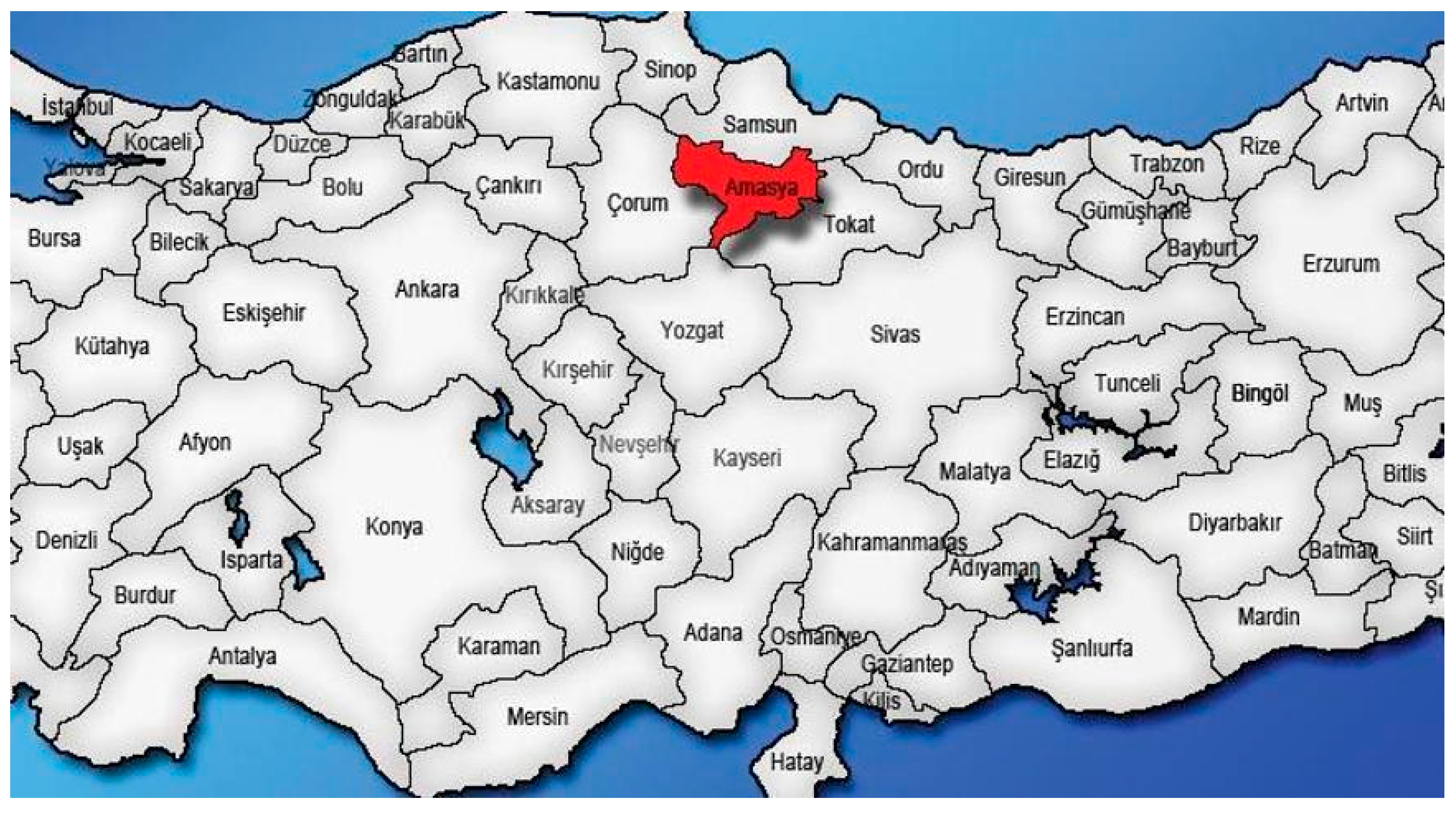 Preprints 160008 g004