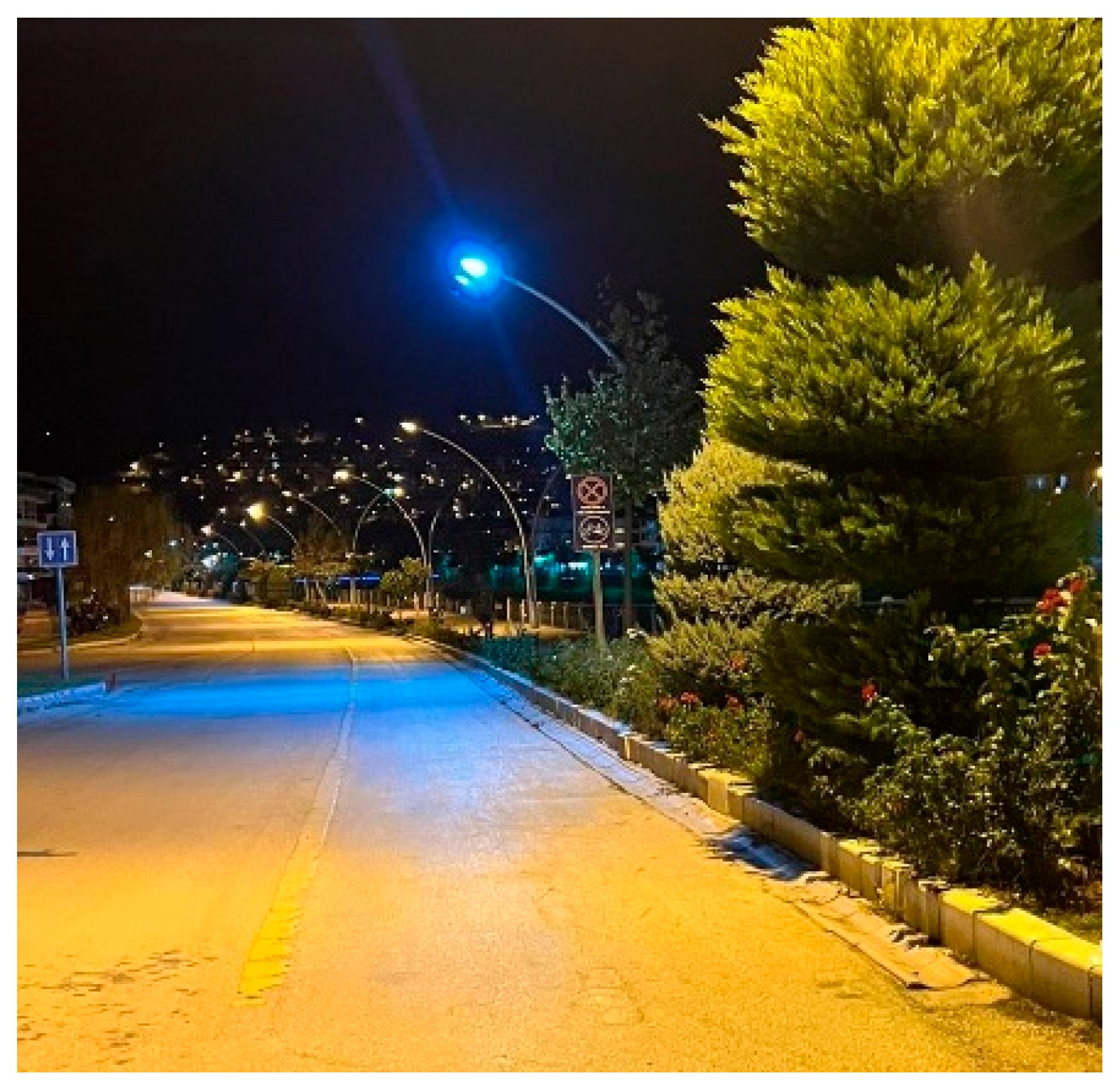 Preprints 160008 g009