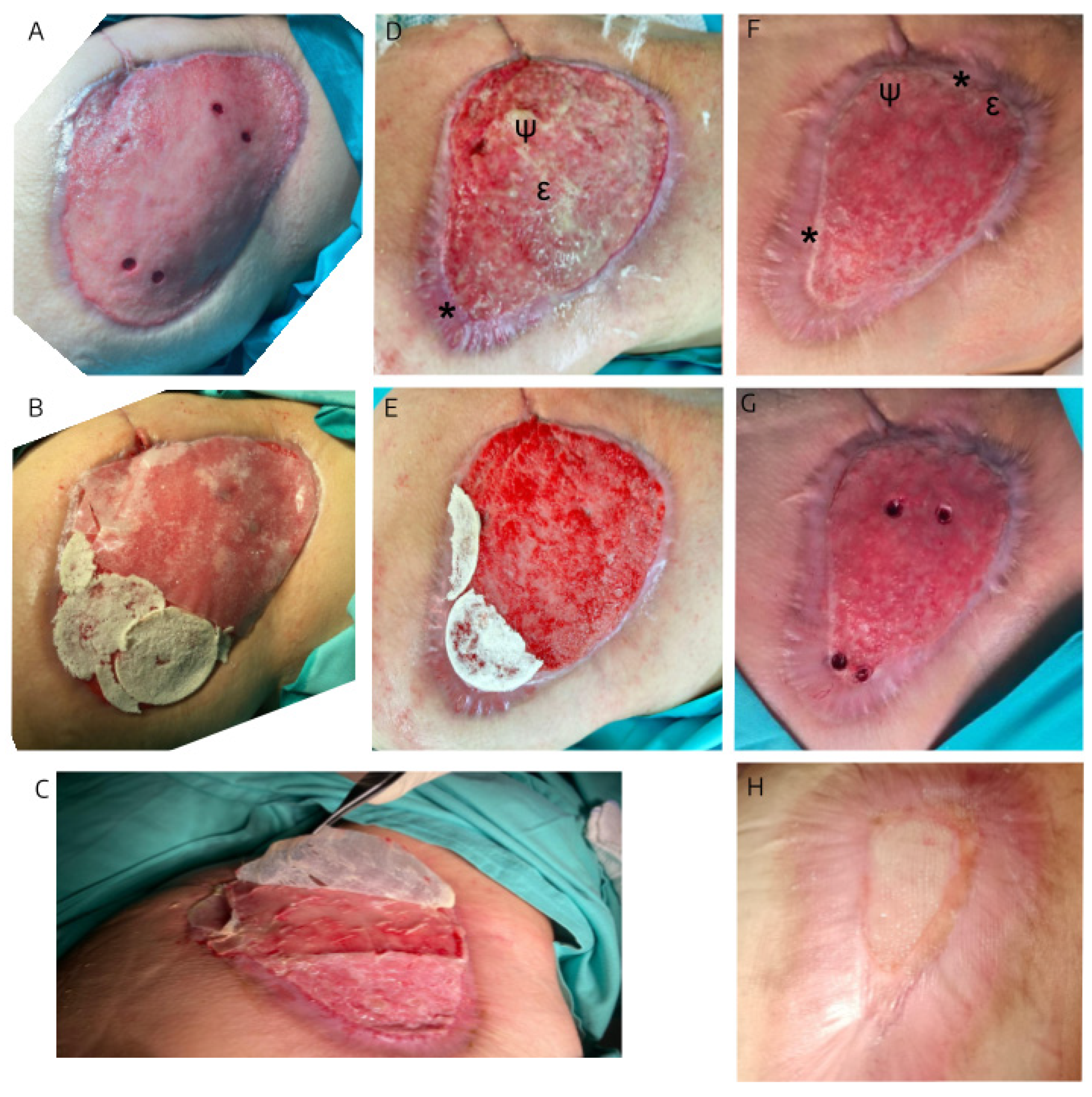 Preprints 171735 g001