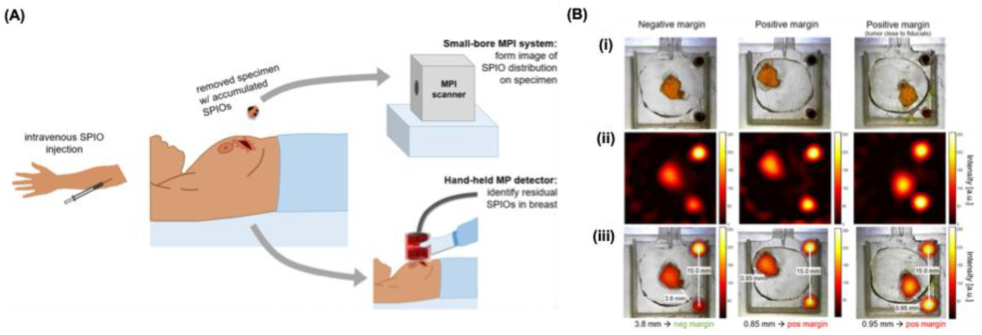 Preprints 175022 g009