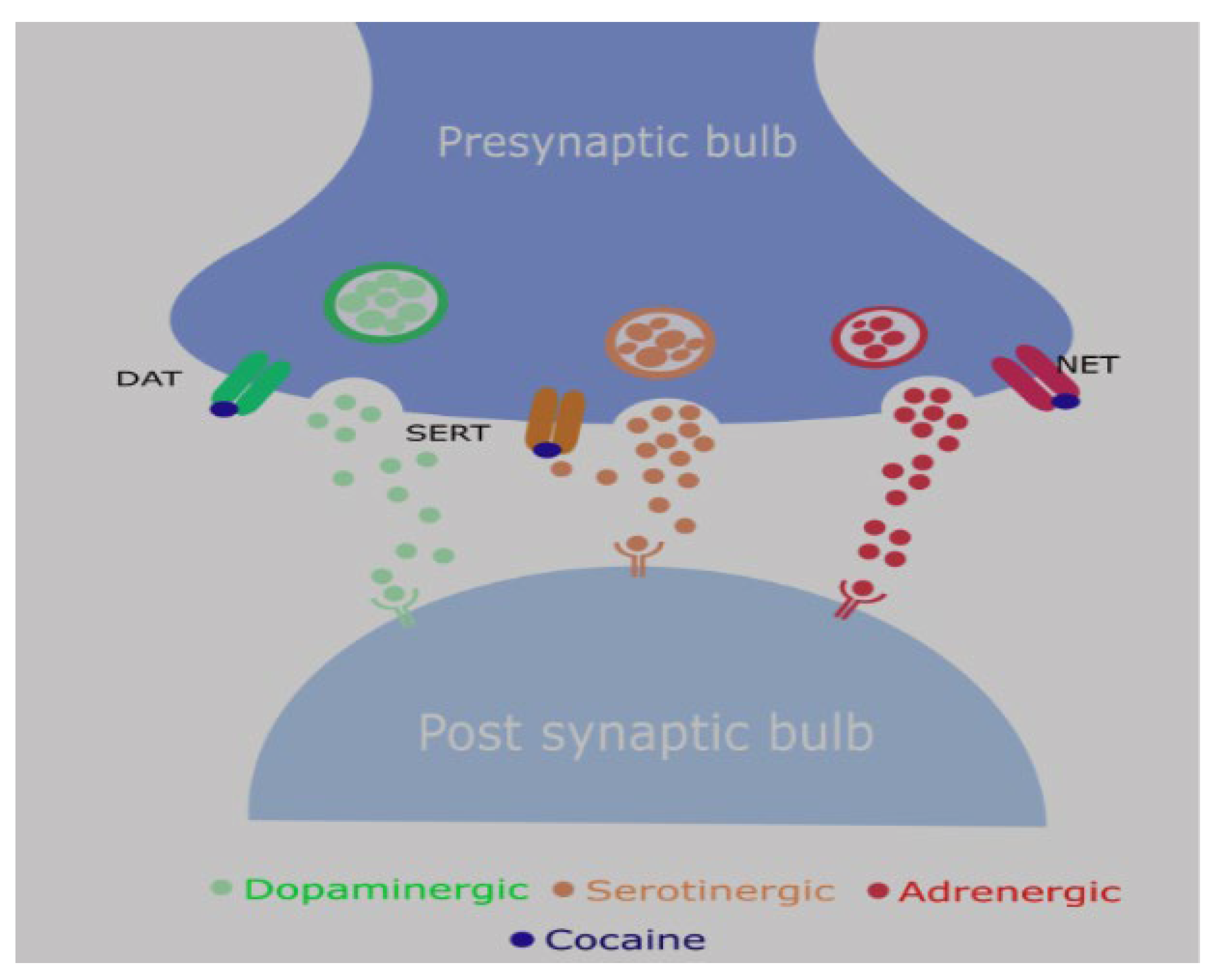 Preprints 192780 g001