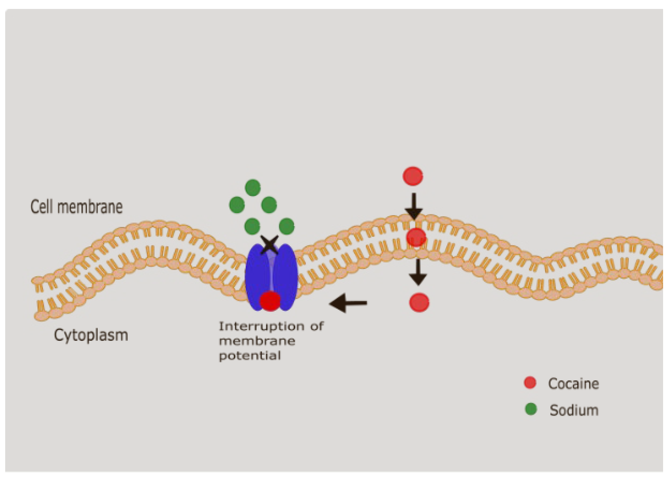 Preprints 192780 g002
