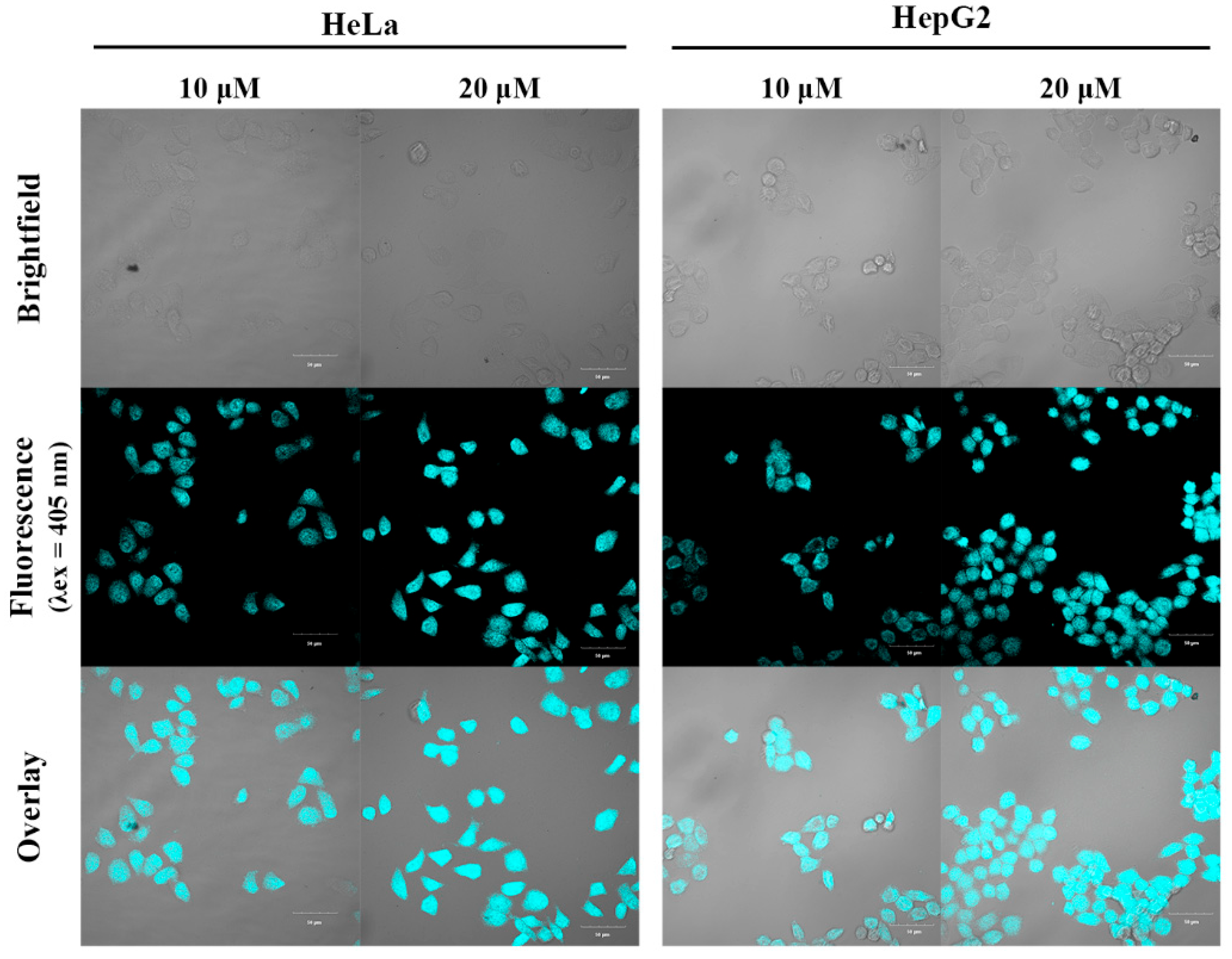 Preprints 158071 g010