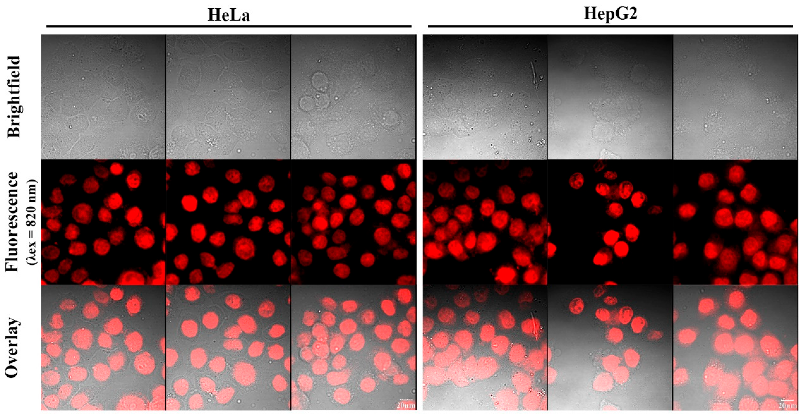 Preprints 158071 g011