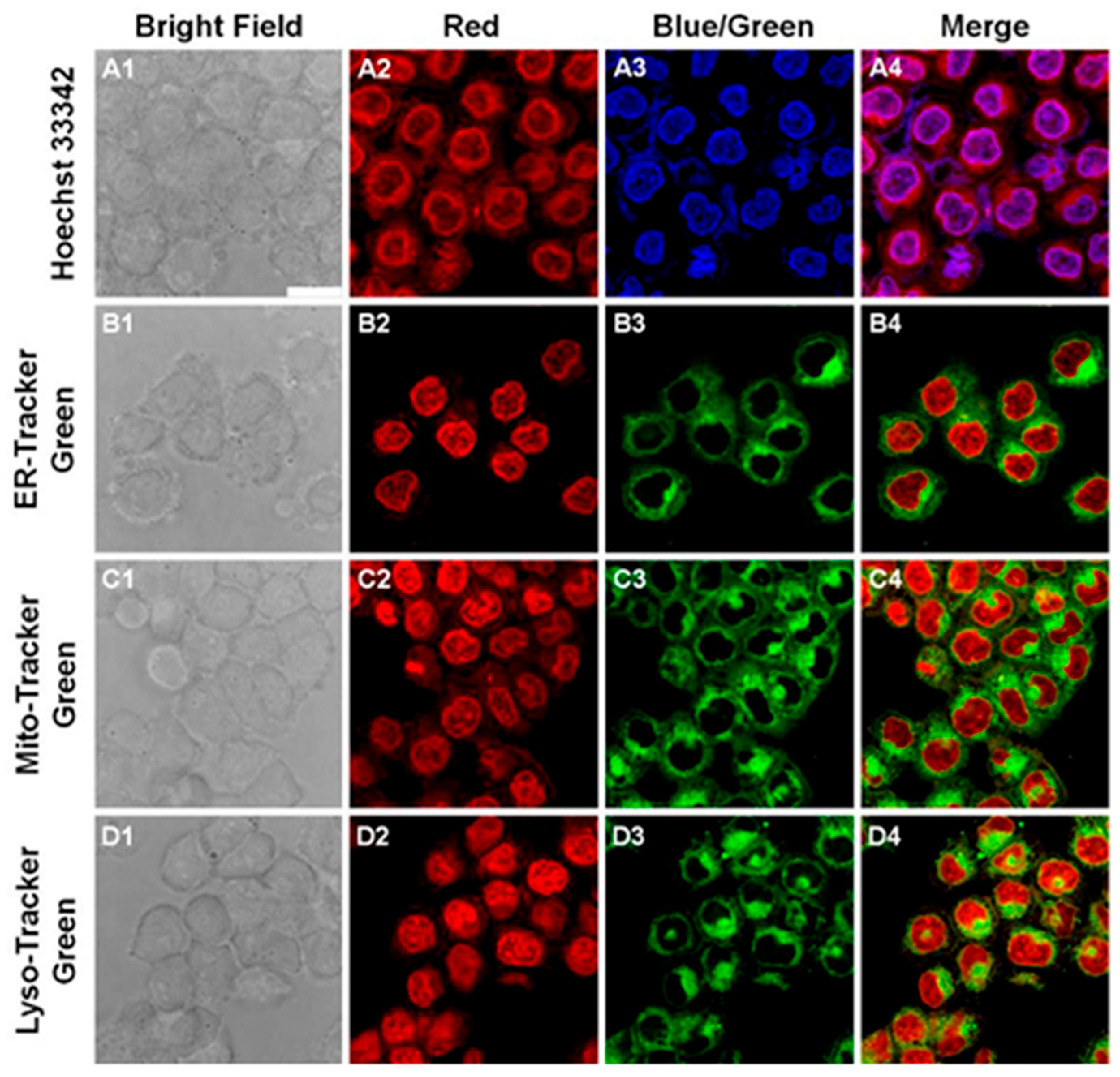 Preprints 158071 g012