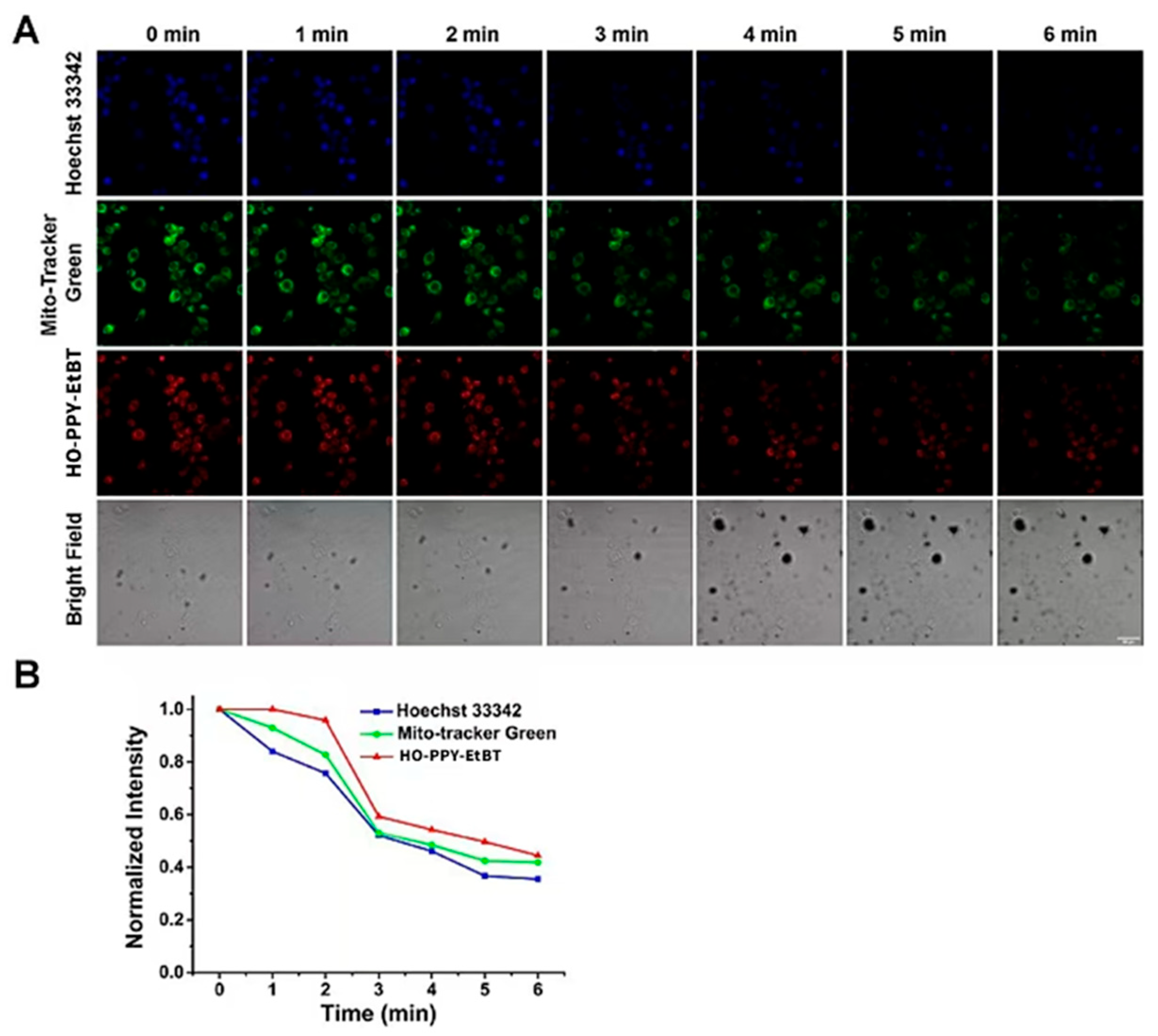 Preprints 158071 g013