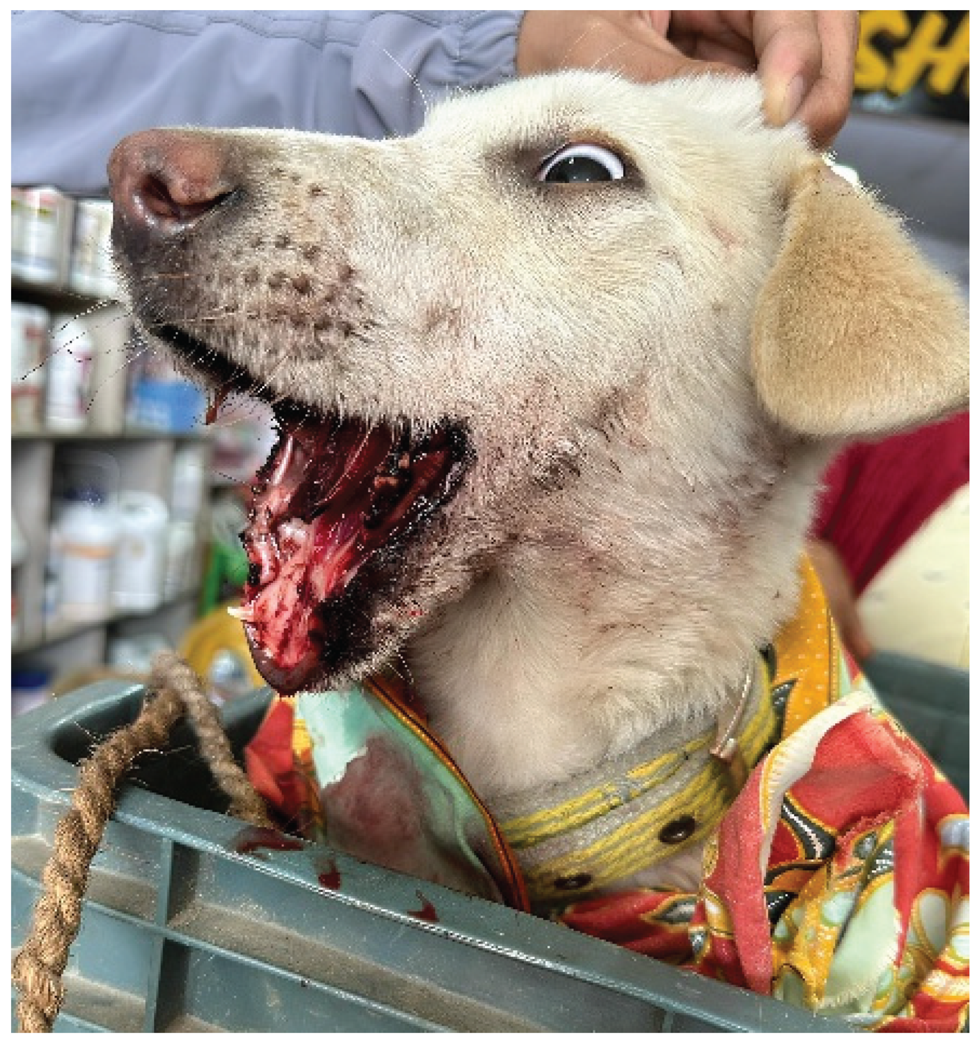 Preprints 160432 g001