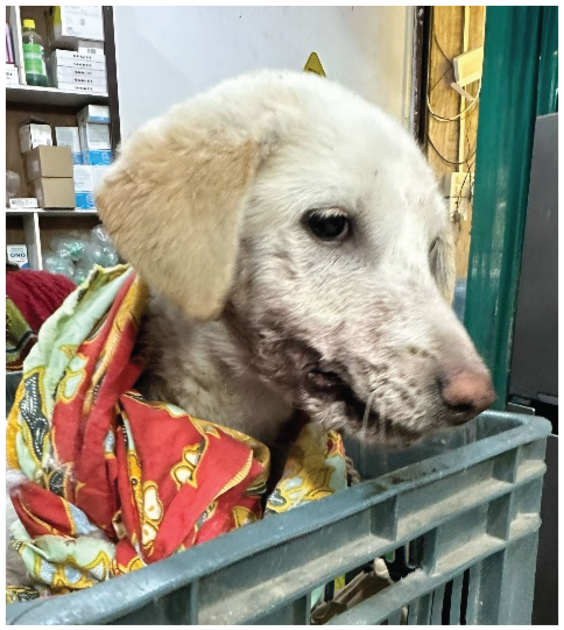 Preprints 160432 g003